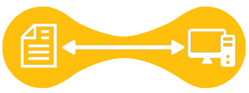 Bean+5+Yellow.png