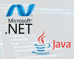 ggnetjava.png