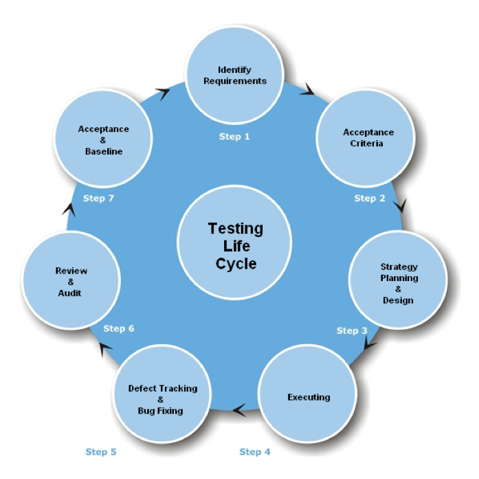 testingcycle.png