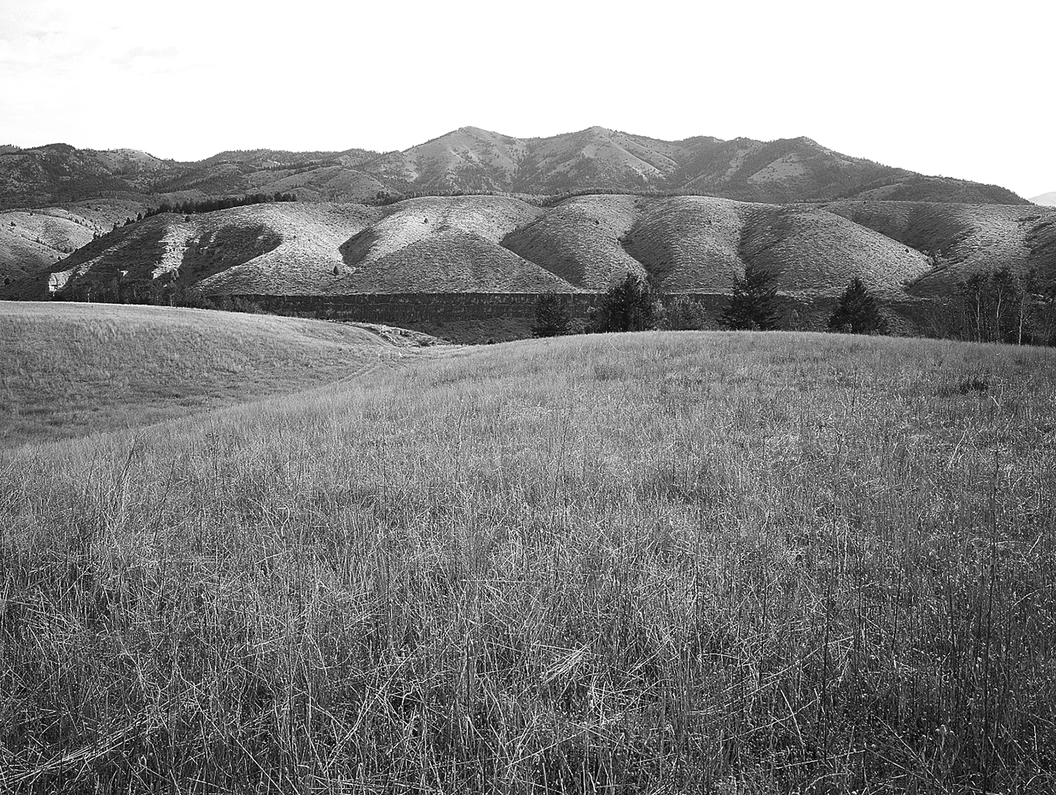 south_fork_1994.jpg