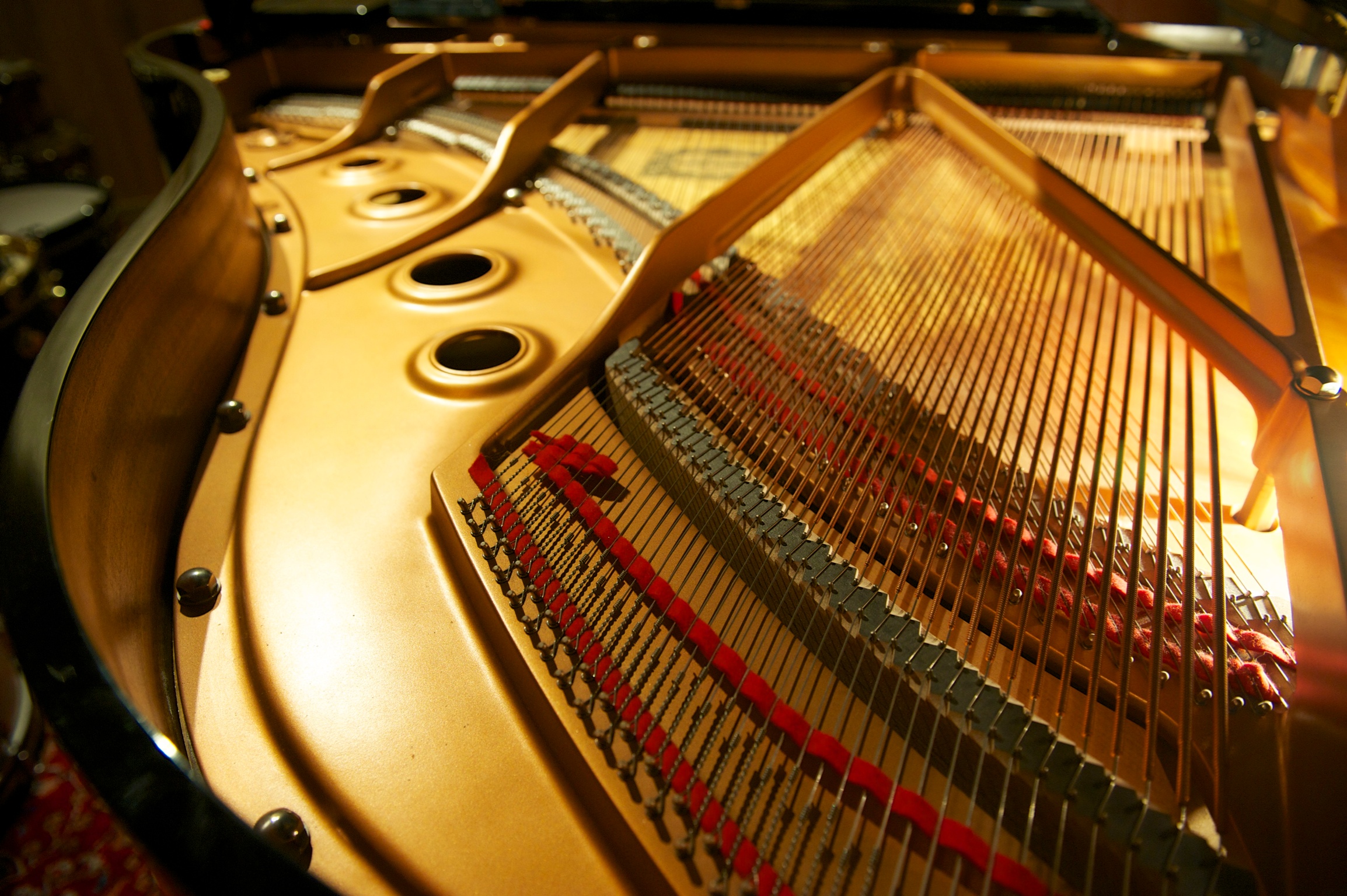 WWP_Inside Piano 2.jpg