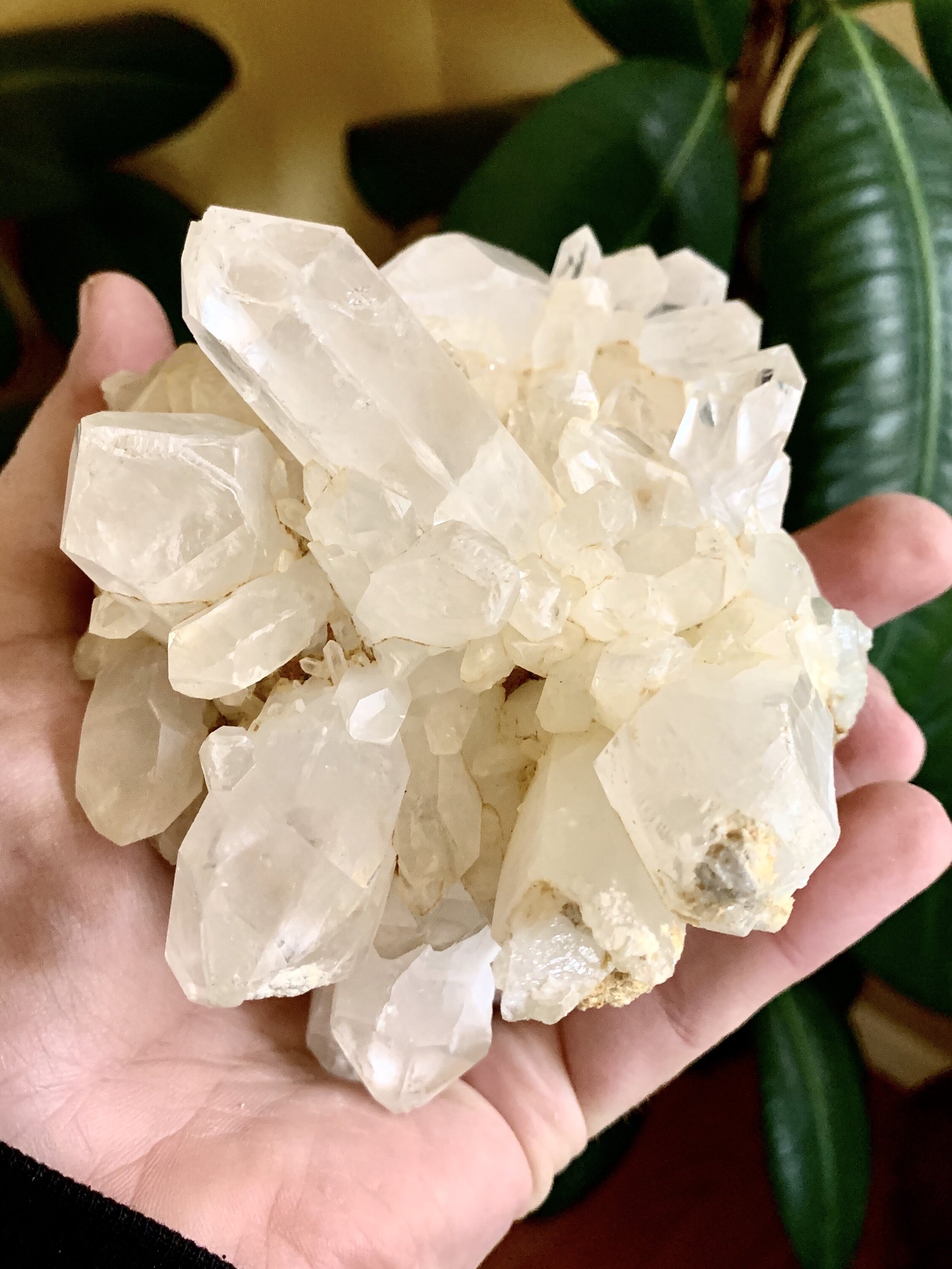 quartz culster 