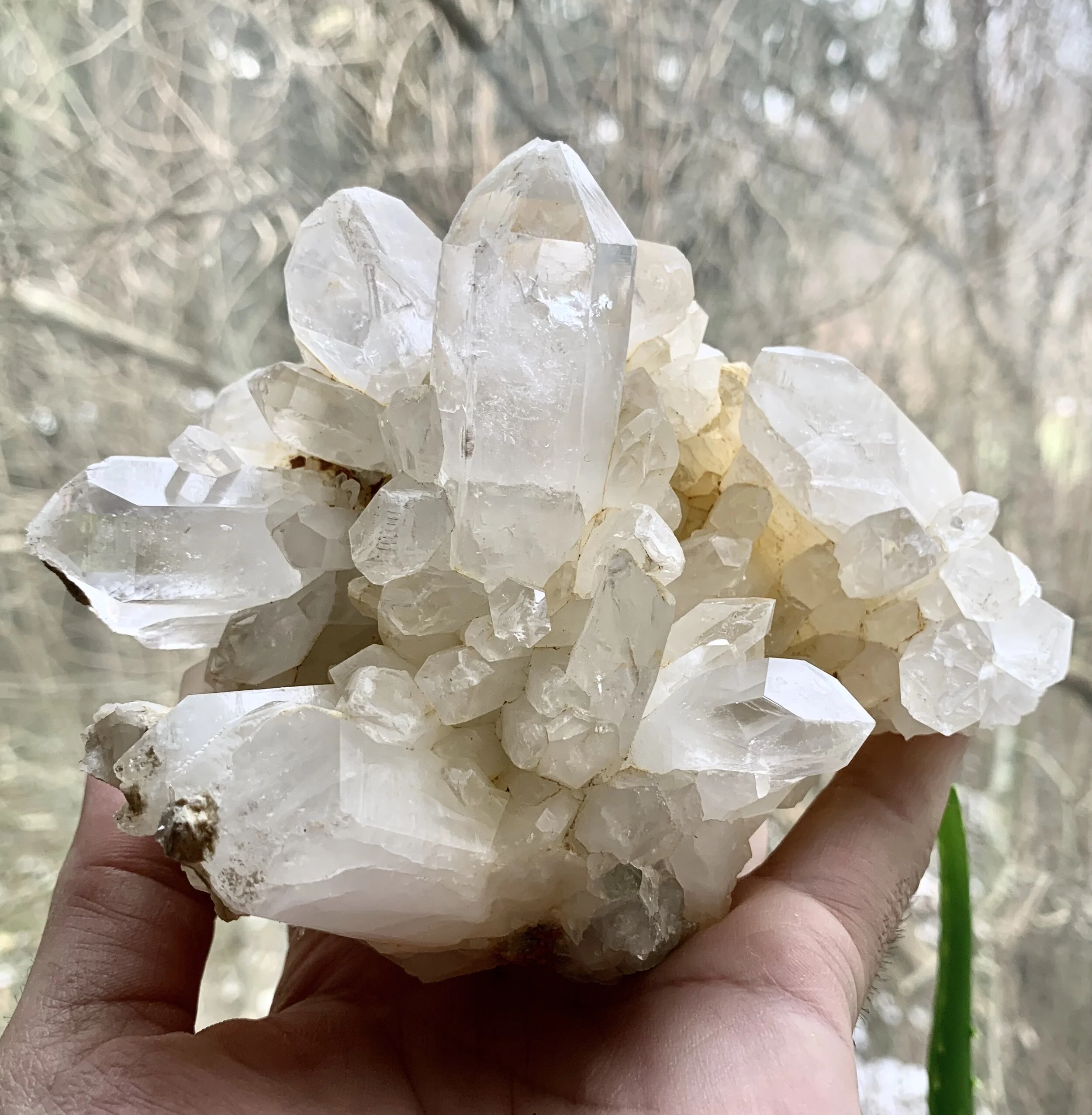 quartz culster 