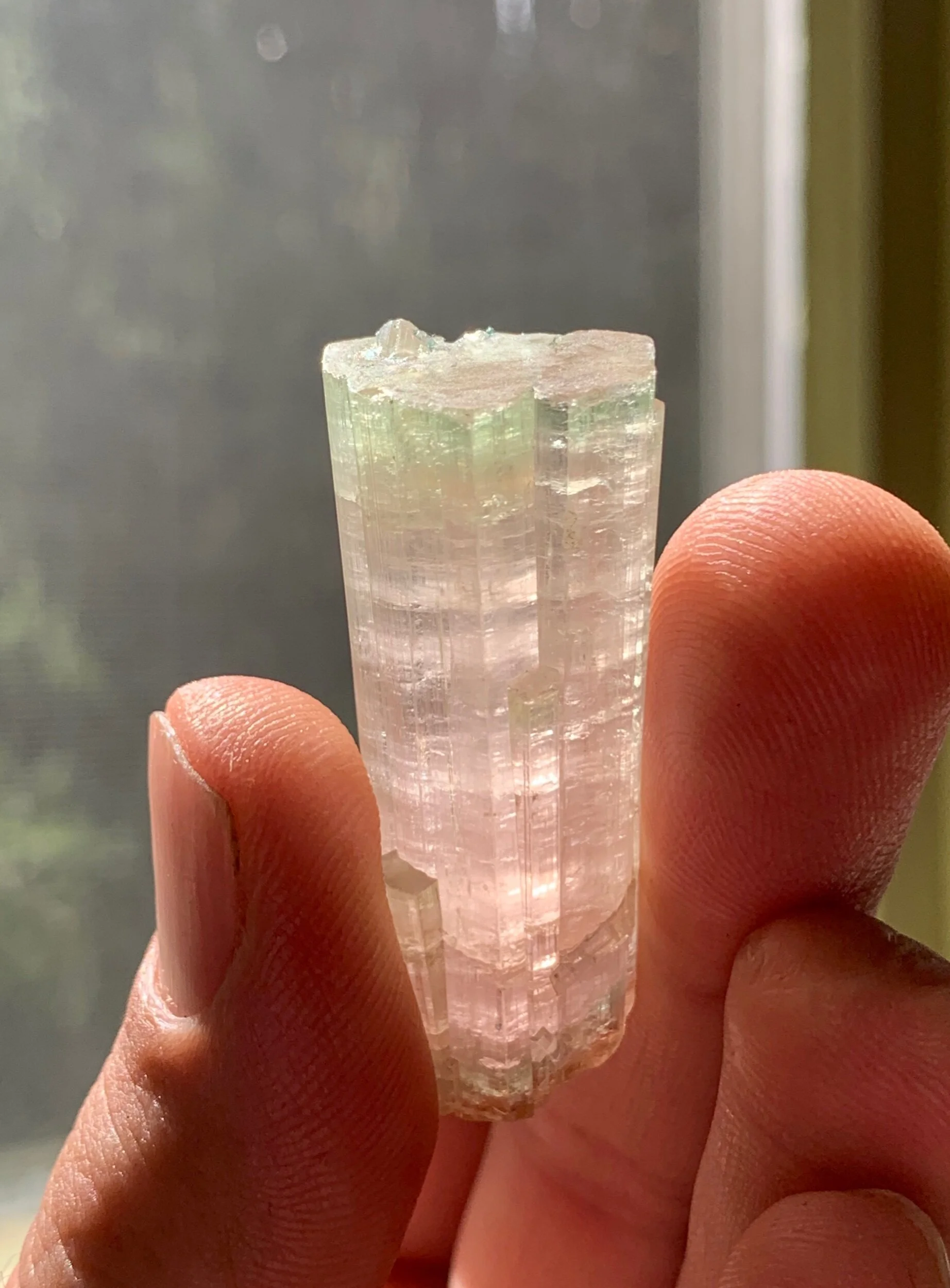 577DAC87-F2AF-4D4B-8F64-2890DB1D2694