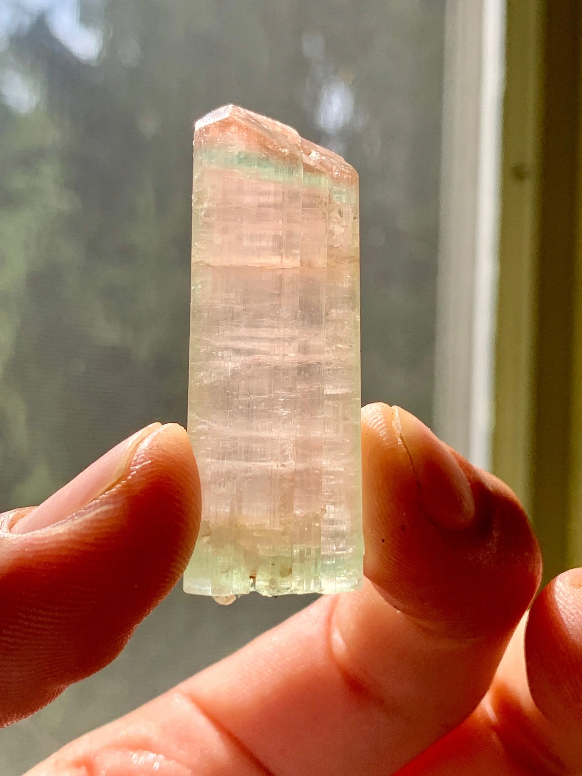 6CE86690-964C-4BEE-8FF1-A24E298B94B4