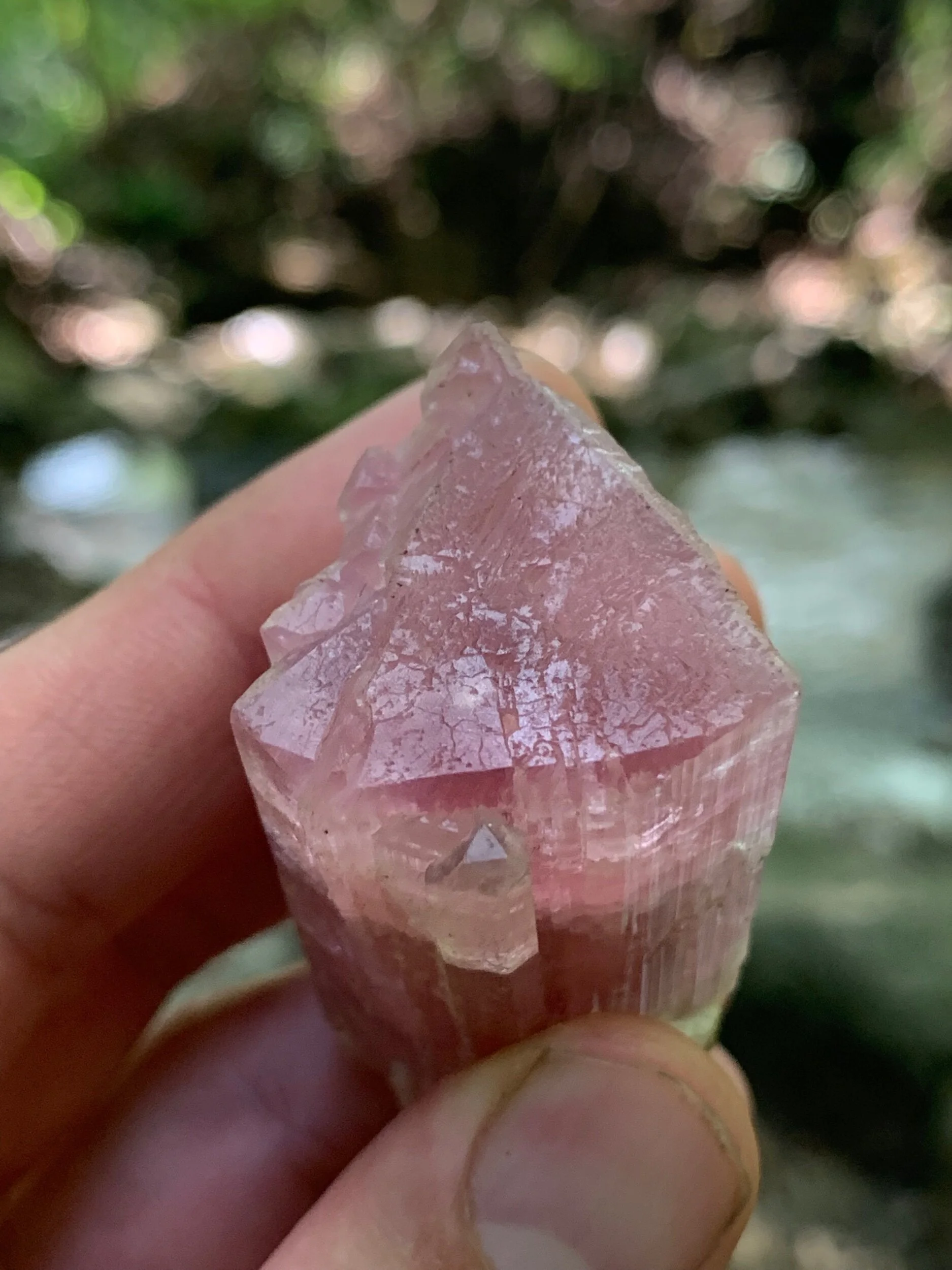 Pink Tourmaline Brazil