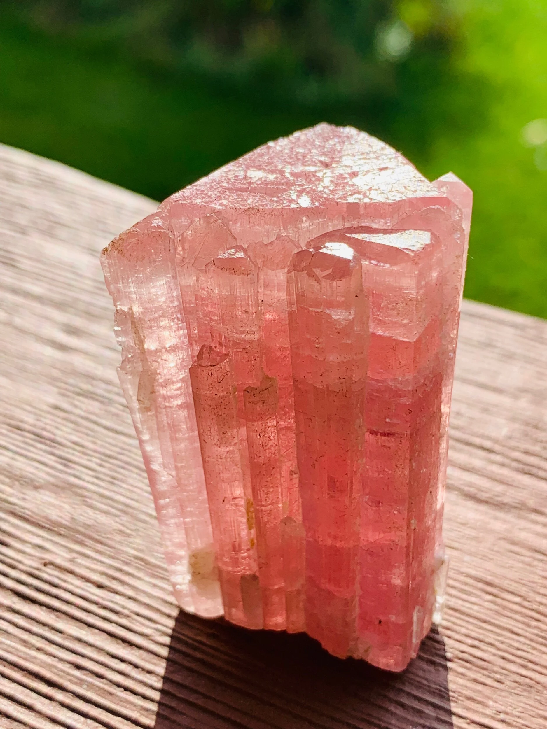 95995140-8DF2-4E51-B51F-9C26FBEB56B4