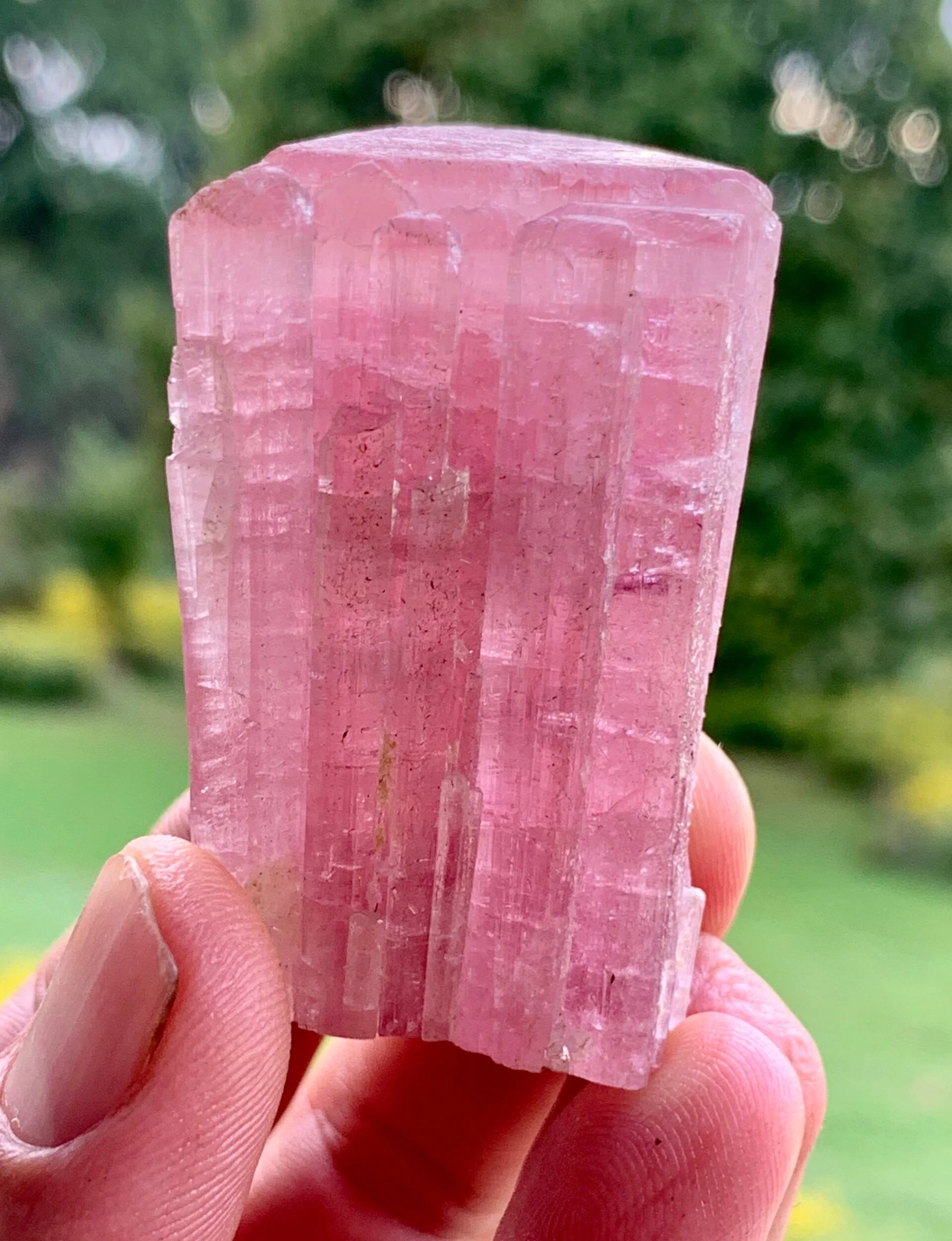 D1702CAE-1542-4FCC-A29A-25E55158B997