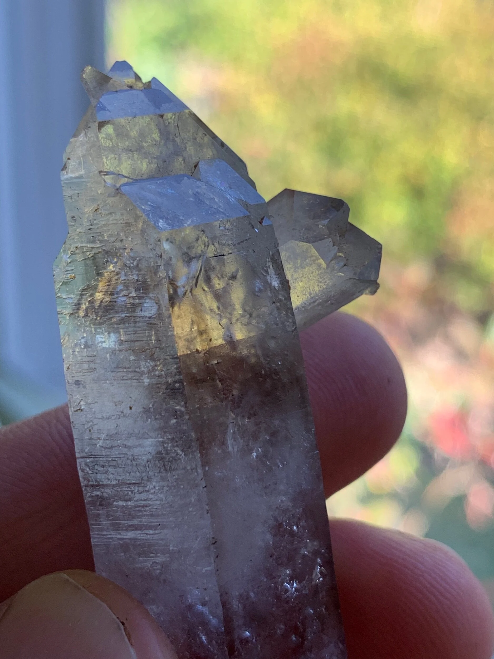 8463420F-62F4-4FE0-928C-D0BCC591CA5C