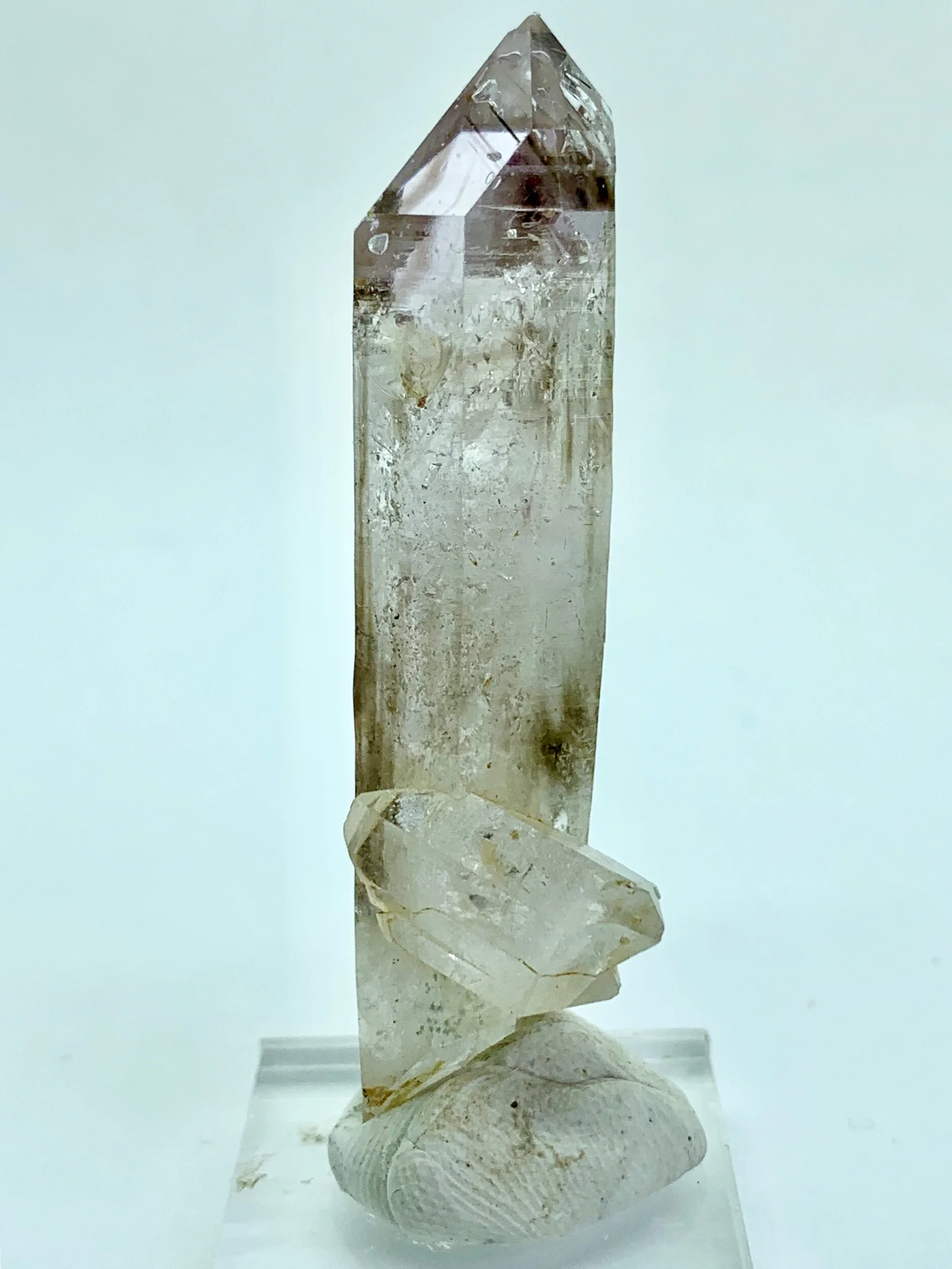 2C9BB65E-7F76-4F64-A52D-7B60D9FB5C82