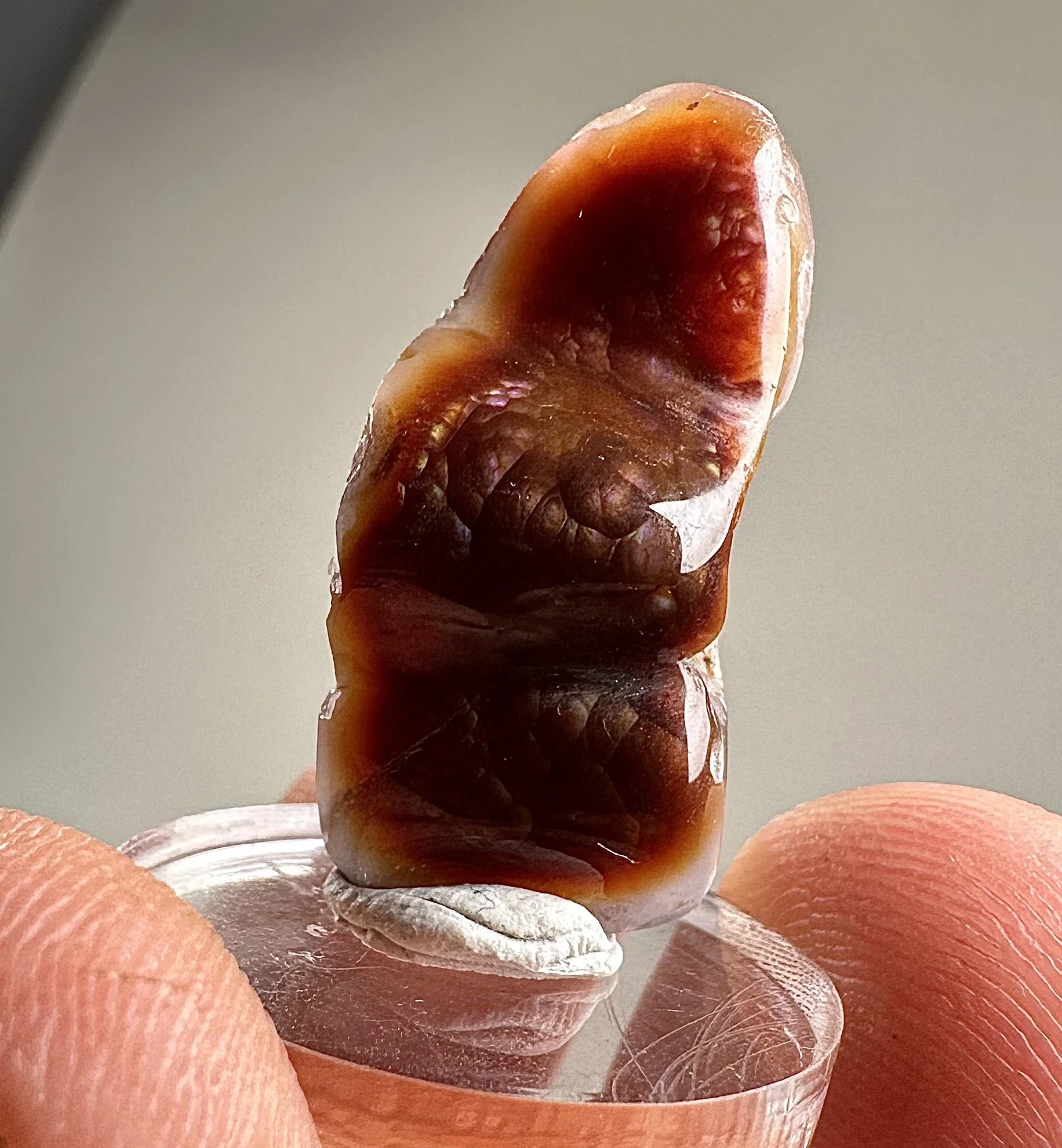 Fire agate deer creek.JPG
