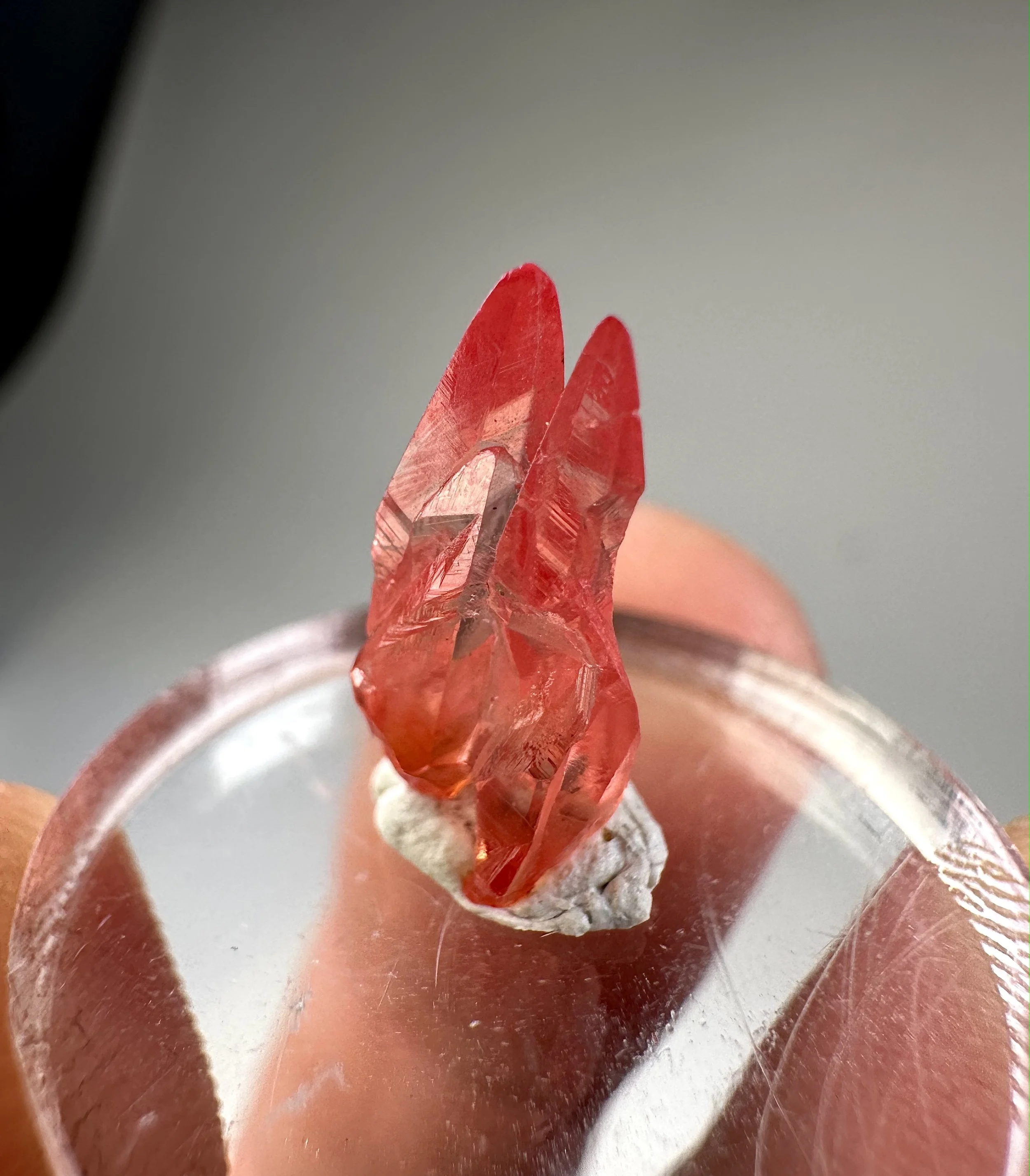 Scalenohedral Rhodochrosite, South Africa