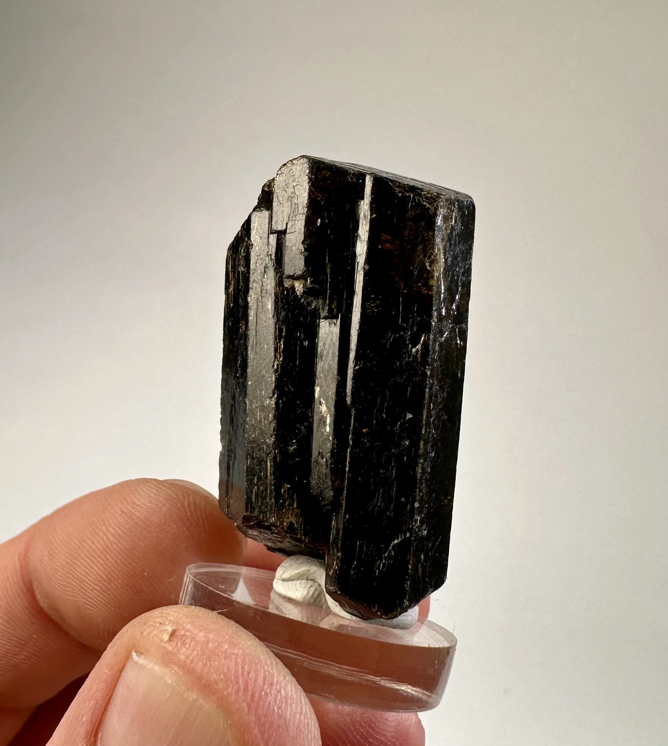 Dravite tourmaline brown Australia