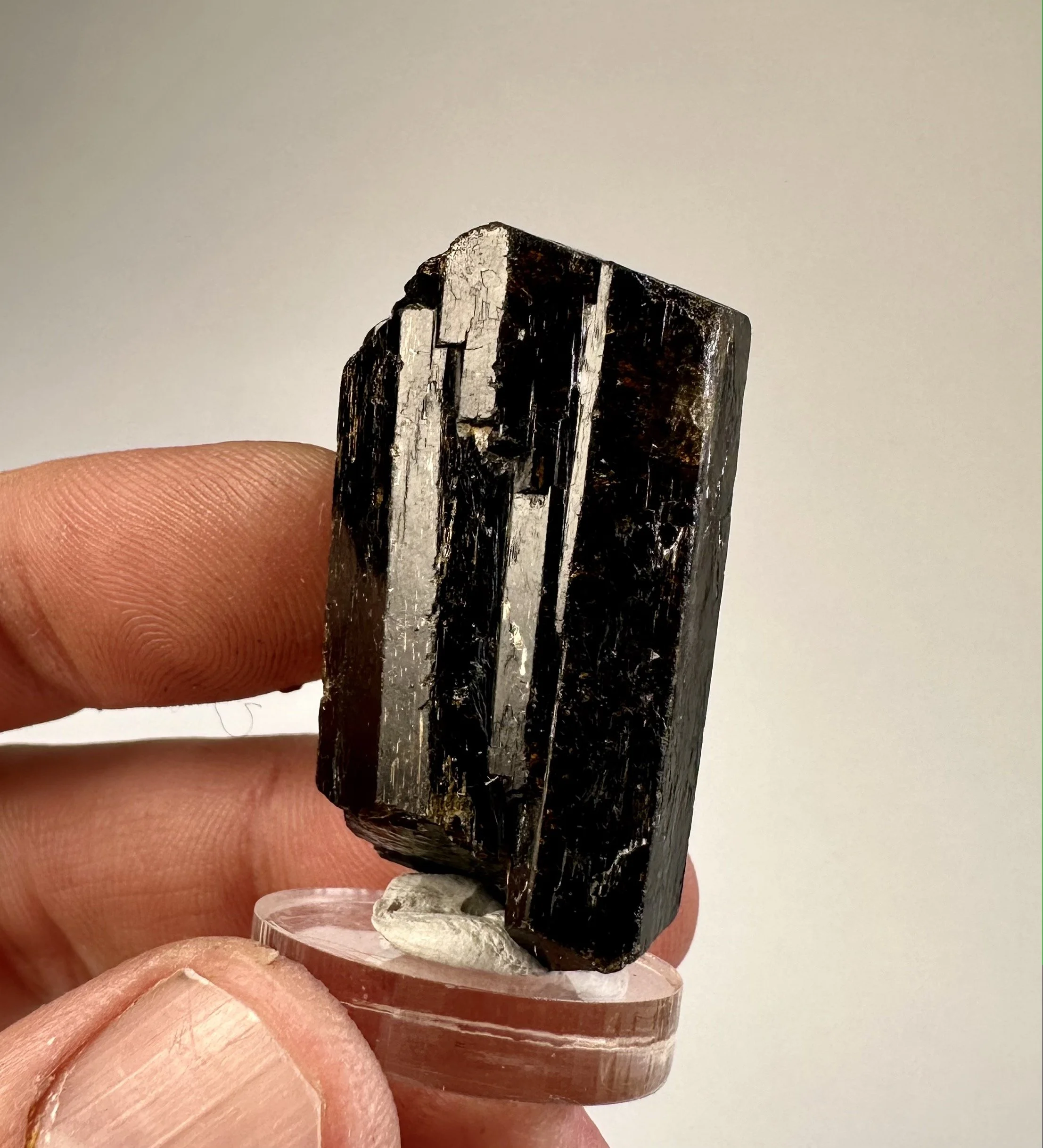 Dravite tourmaline brown Australia