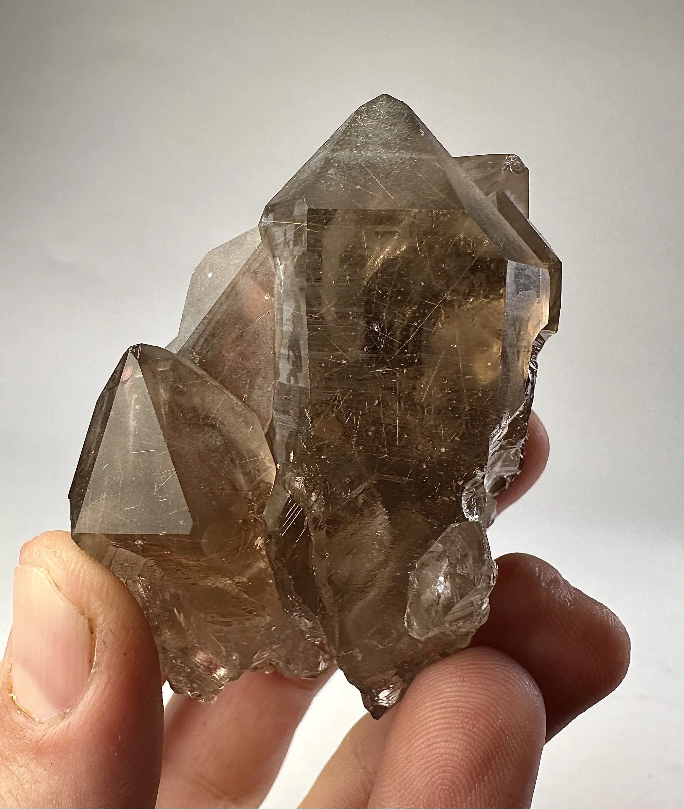 Rutilated Smoky Quartz, Brazil