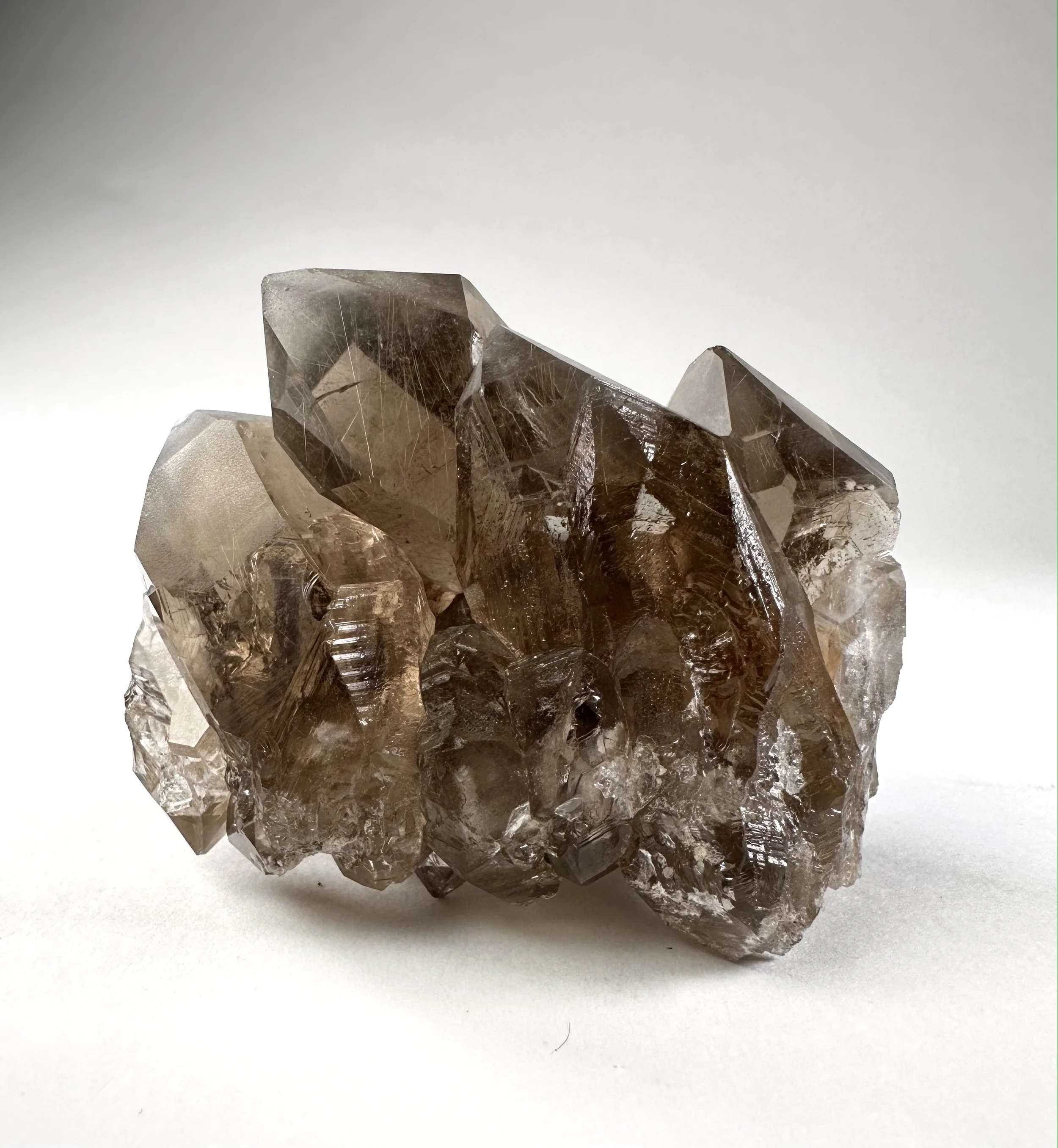 Rutilated Smoky Quartz, Brazil