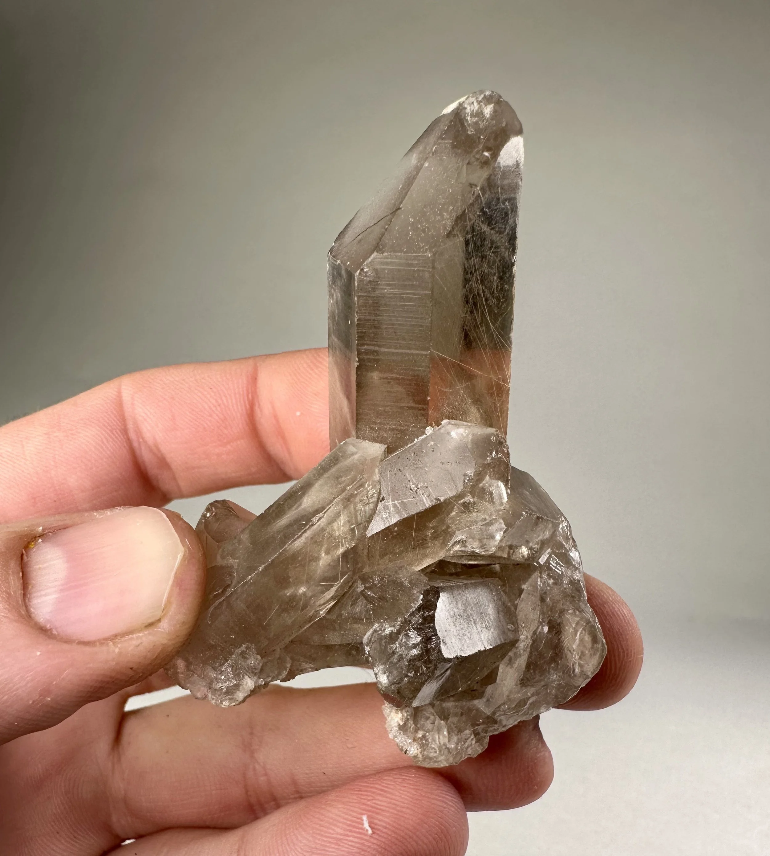 Rutilated Smoky Quartz, Brazil