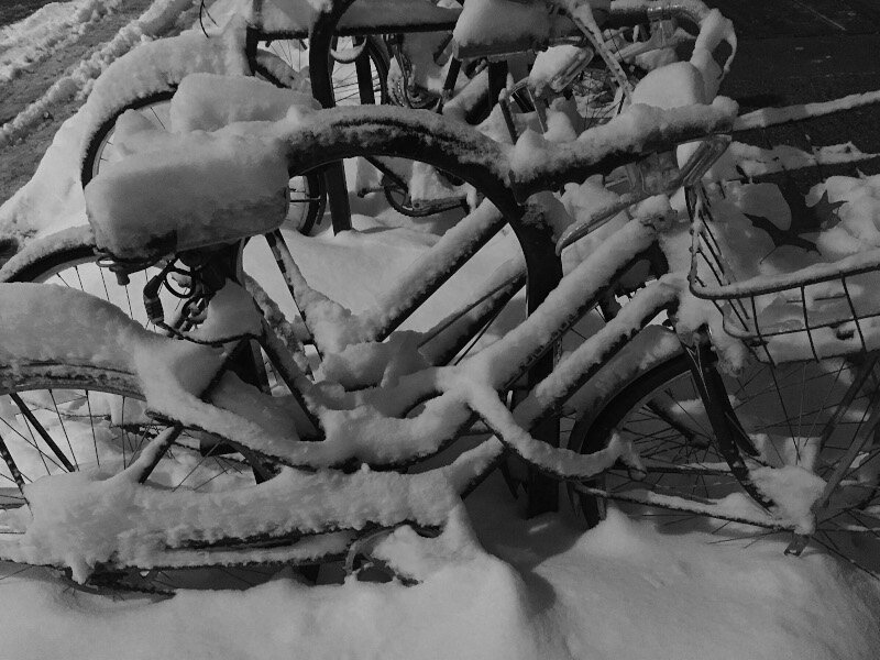 Winter, New York800.jpg