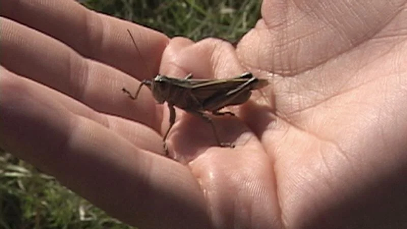  Video still 