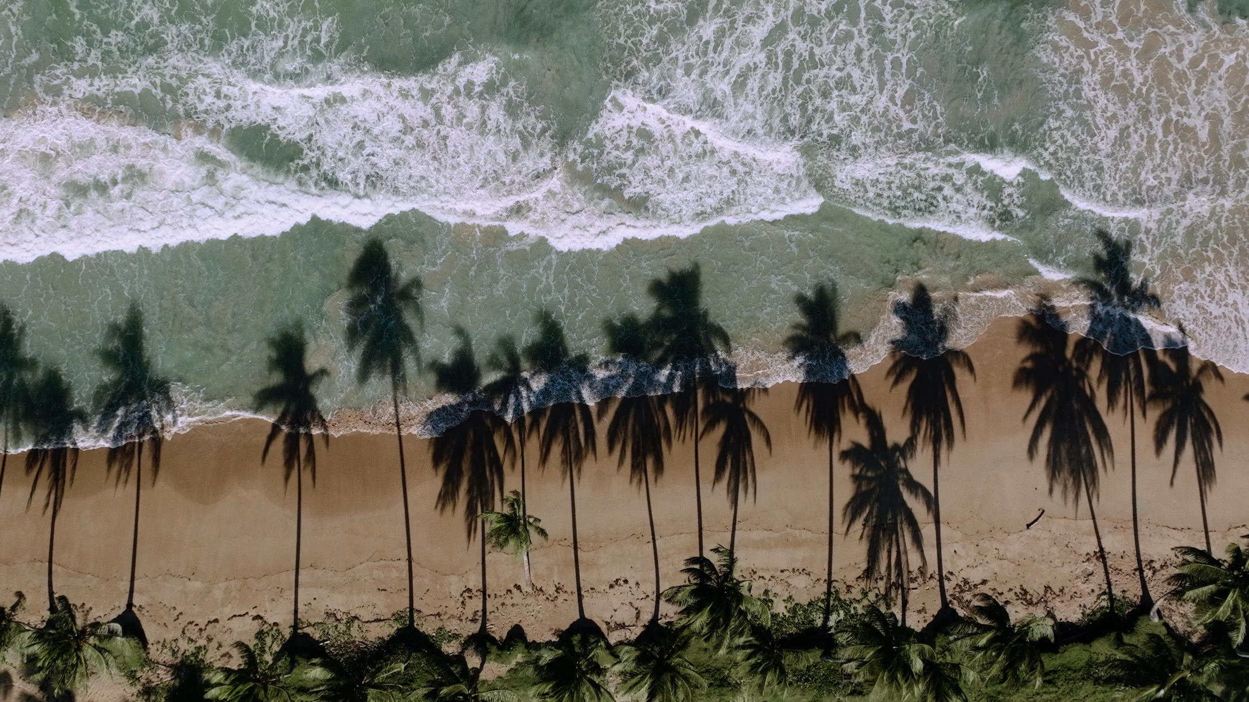 00 Rewind 2021 v3.00_00_26_04.Still003.jpg