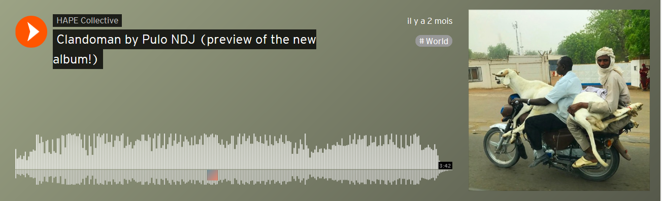 Desert to Douala (soon out on Wonderwheel Recordings): 125% of the amount pledged funded!