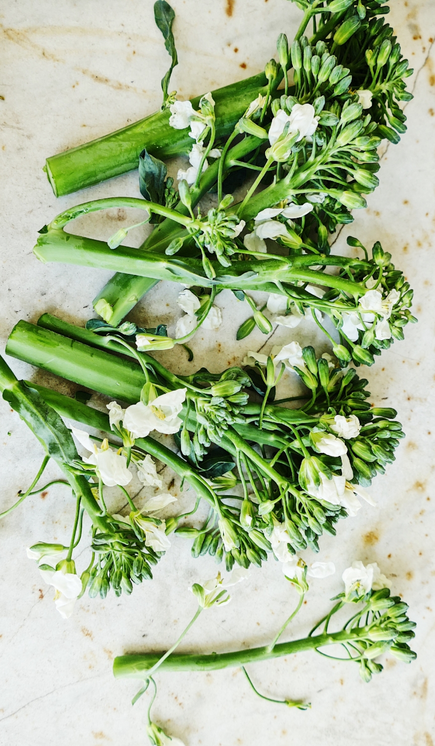 Broccolini with Flowers