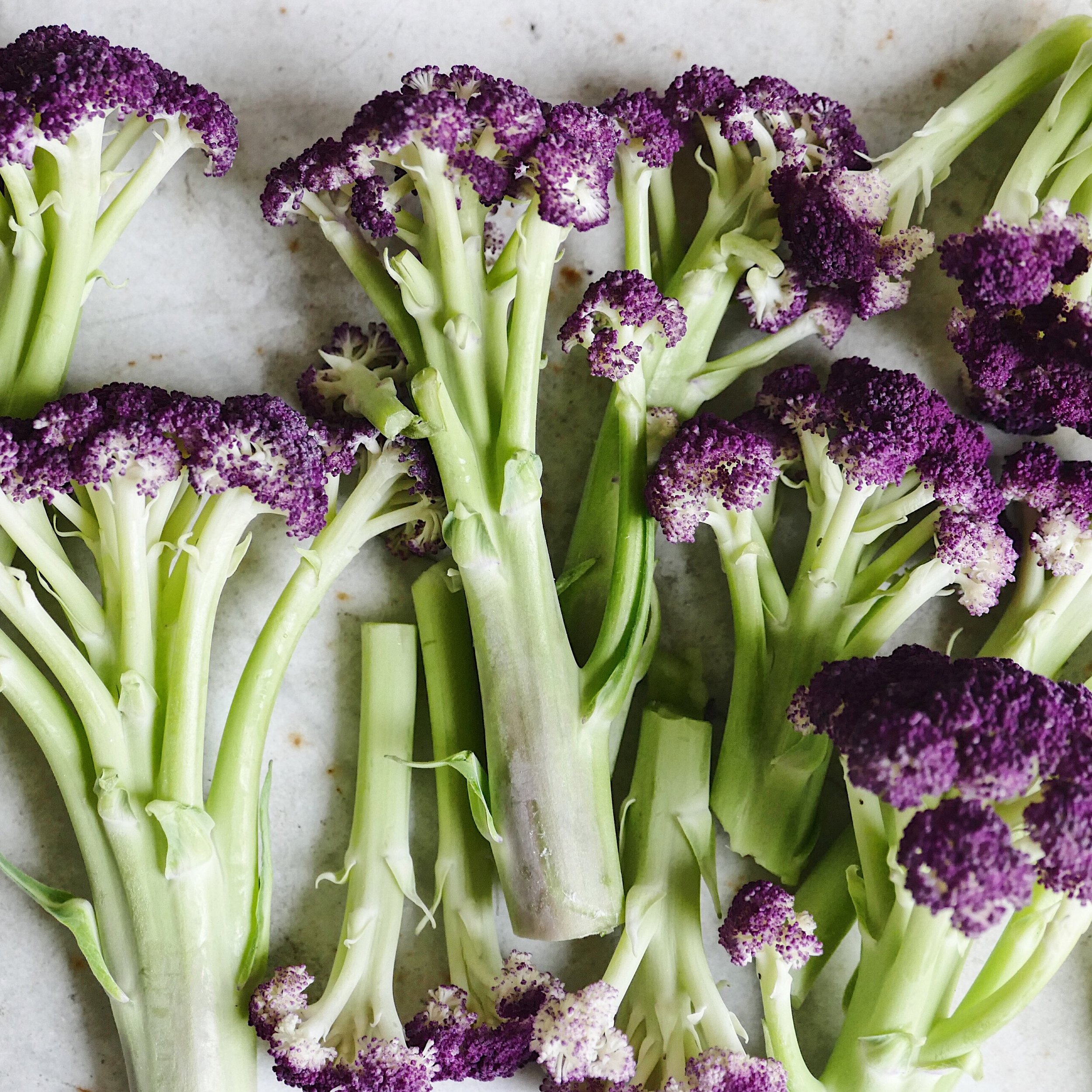 Purple Cauliflowers