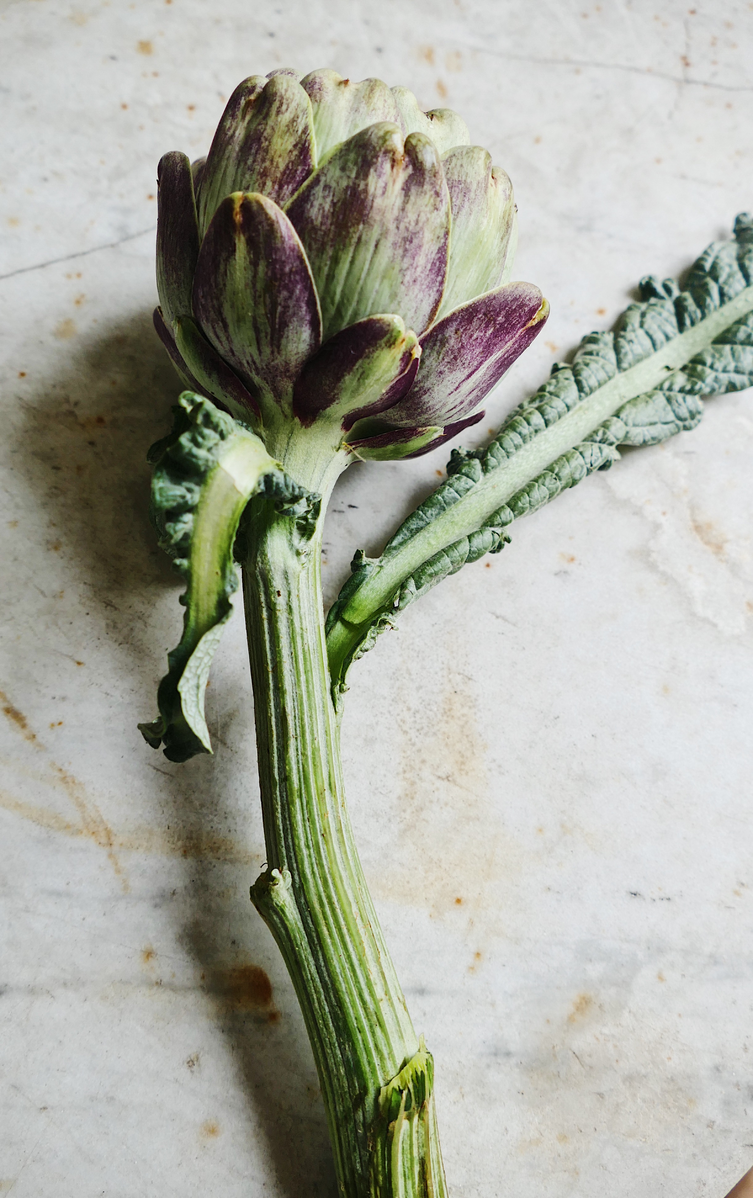 Mini Artichoke