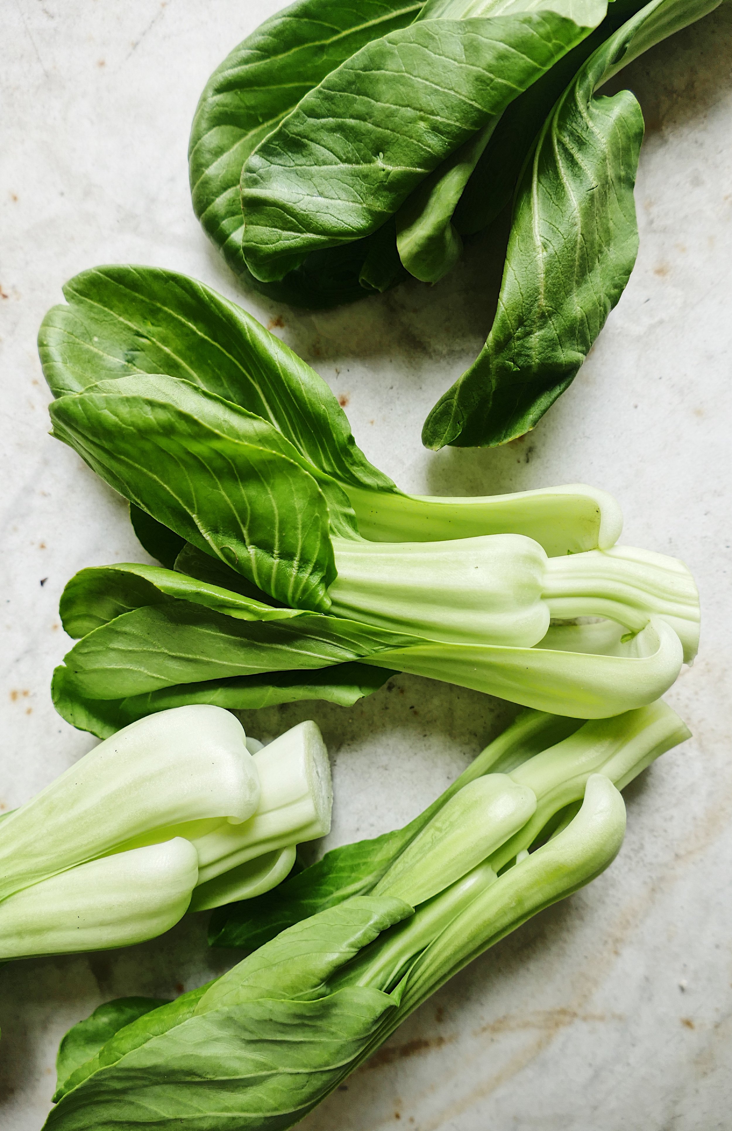 Bok Choy