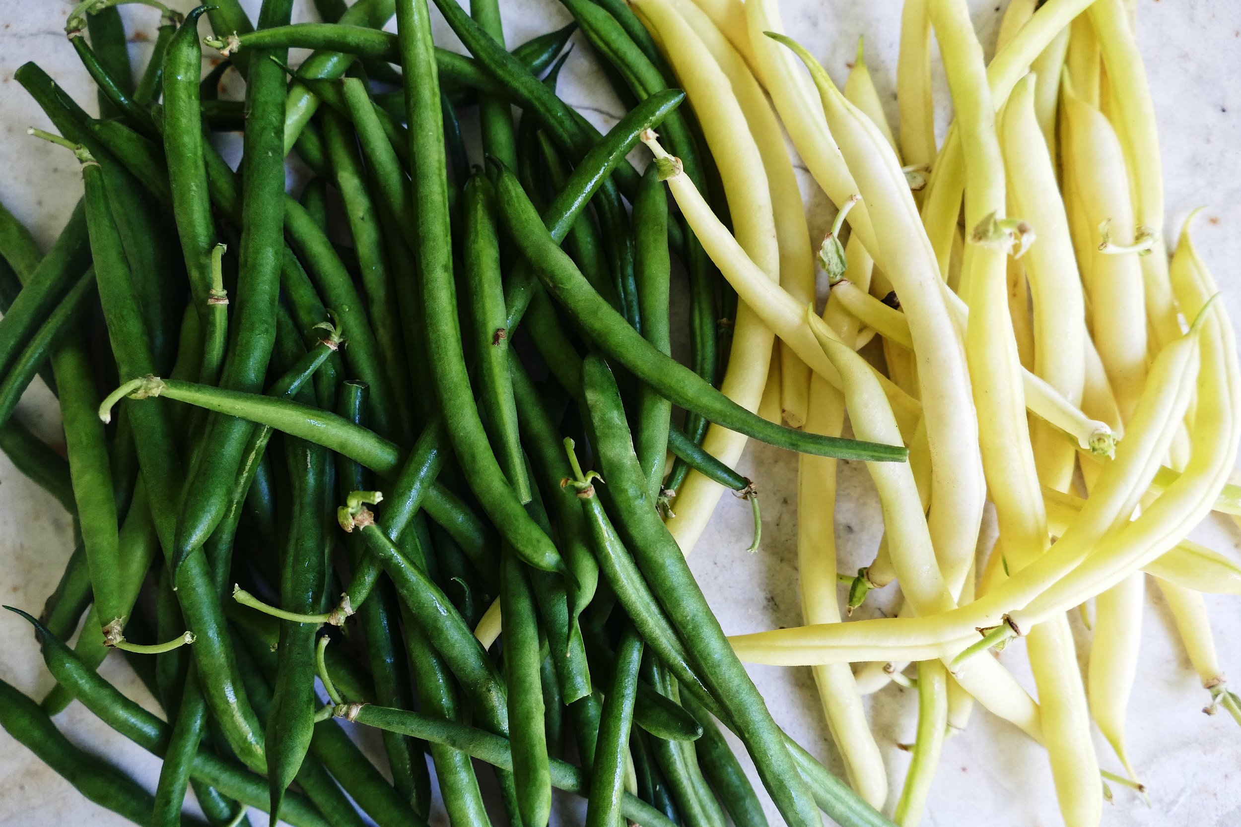 Green and Yellow Beans