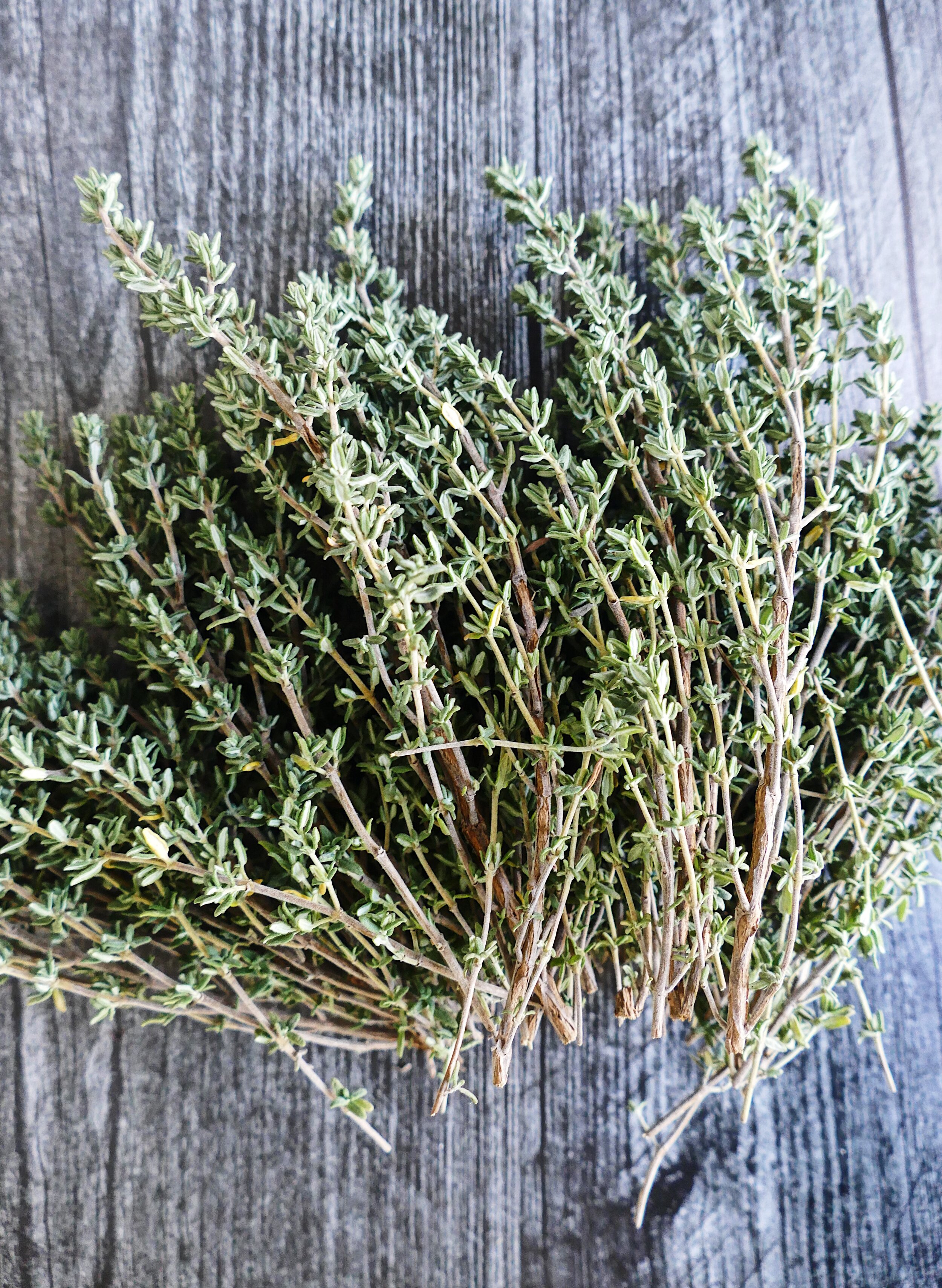 Thyme