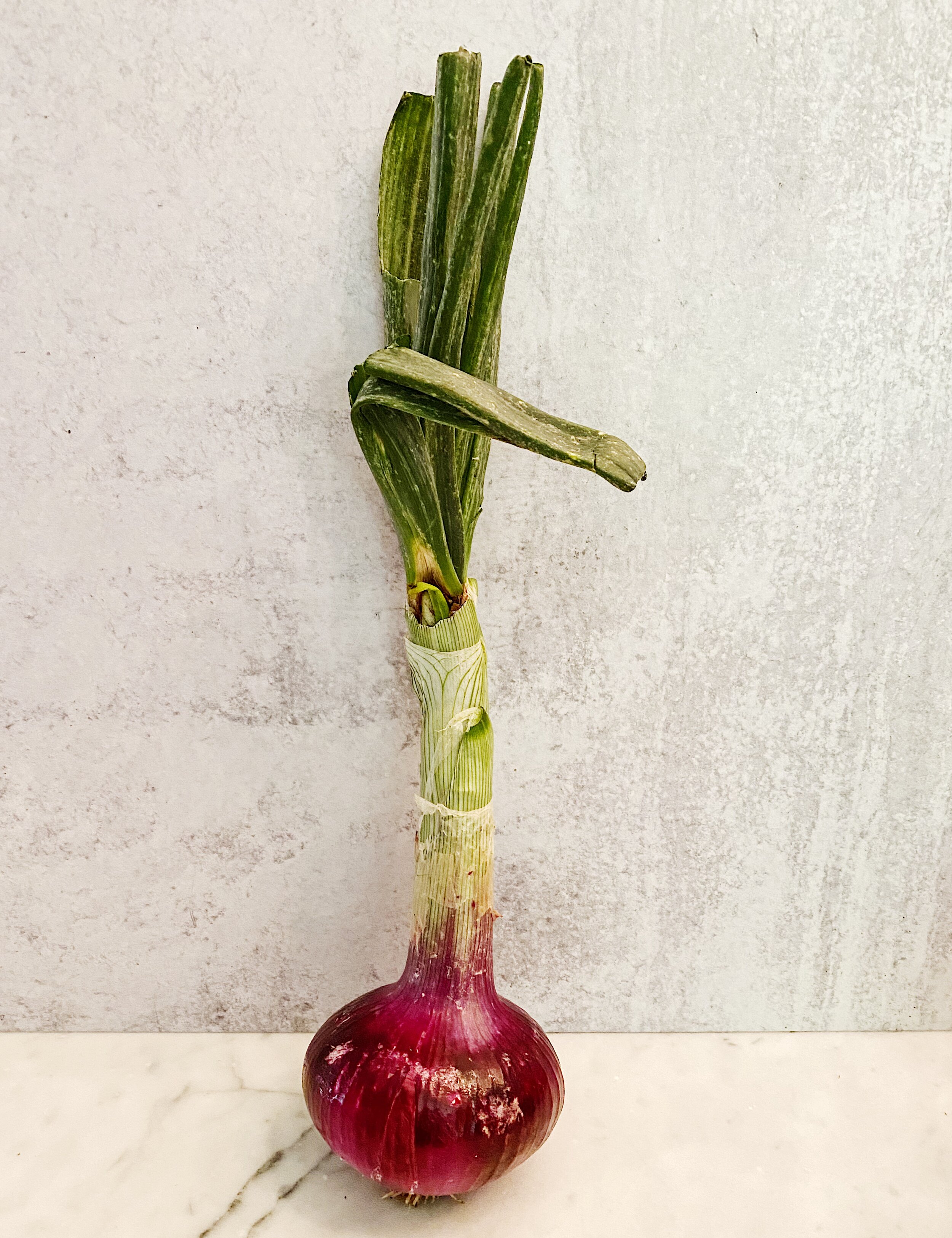 Red Onion