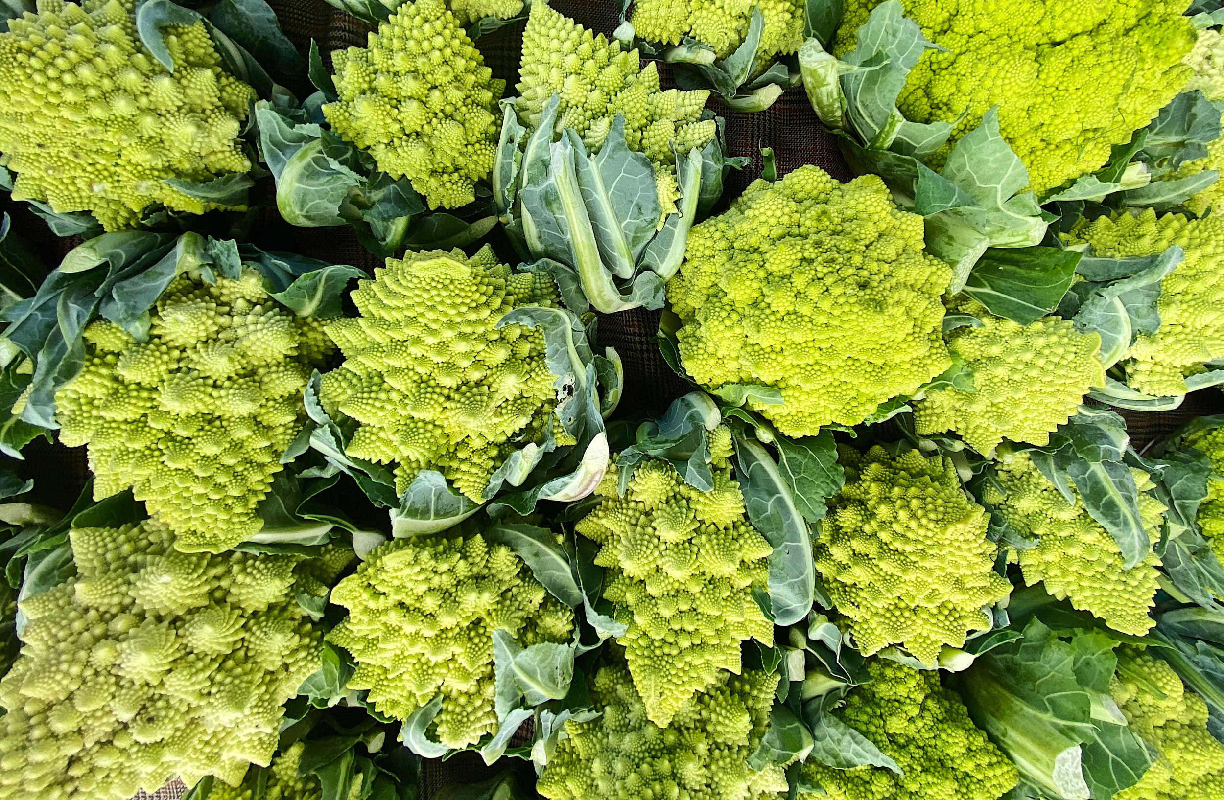 Romanesco