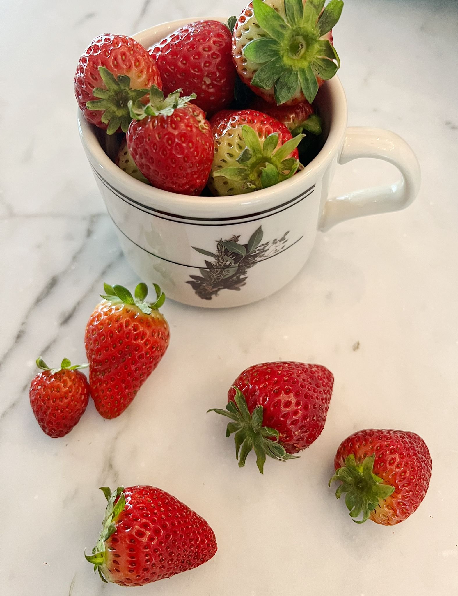 Strawberries in Vintage Herb Bunch Ceramic Mug