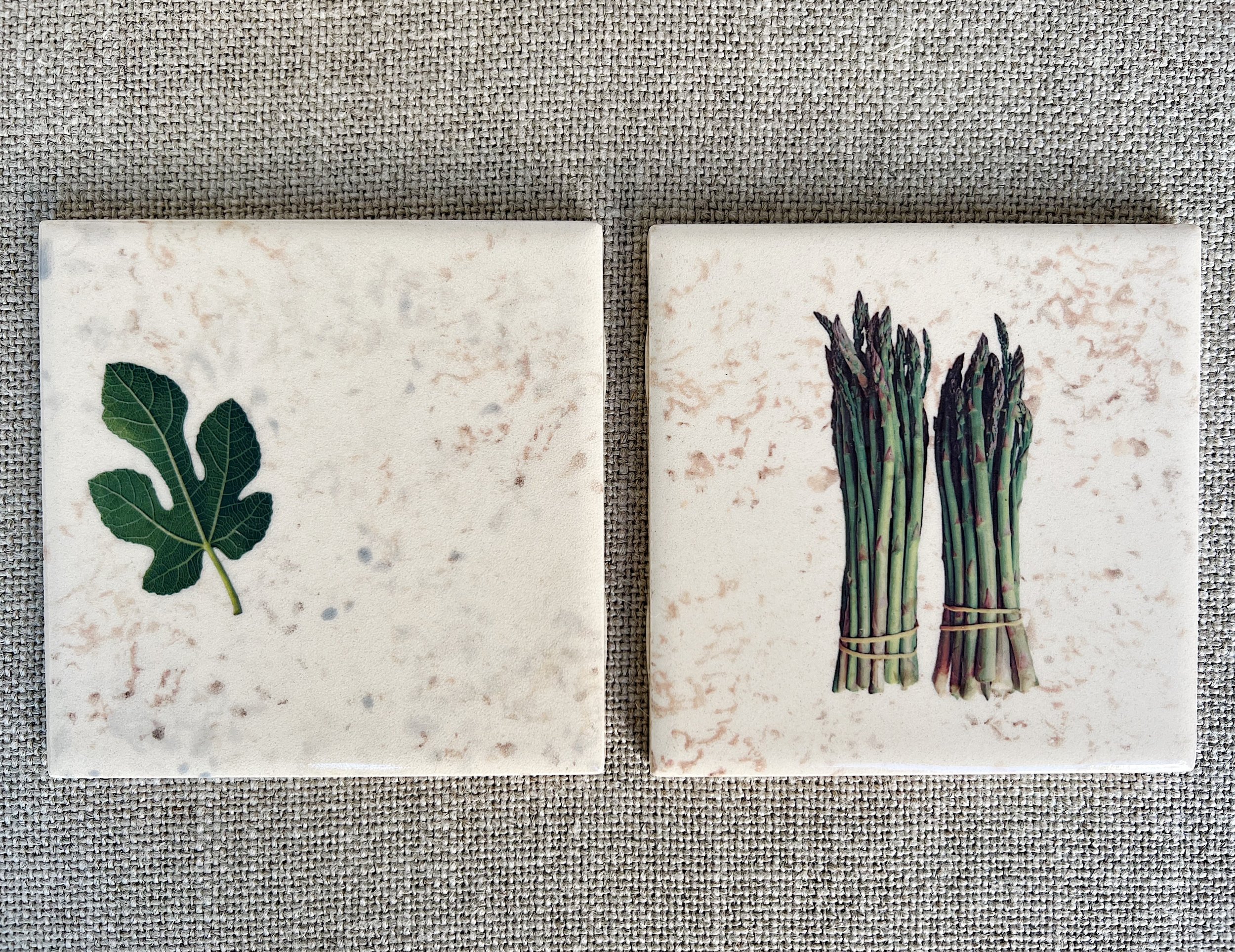 Fig Leaf and Asparagus Ceramic Coasters