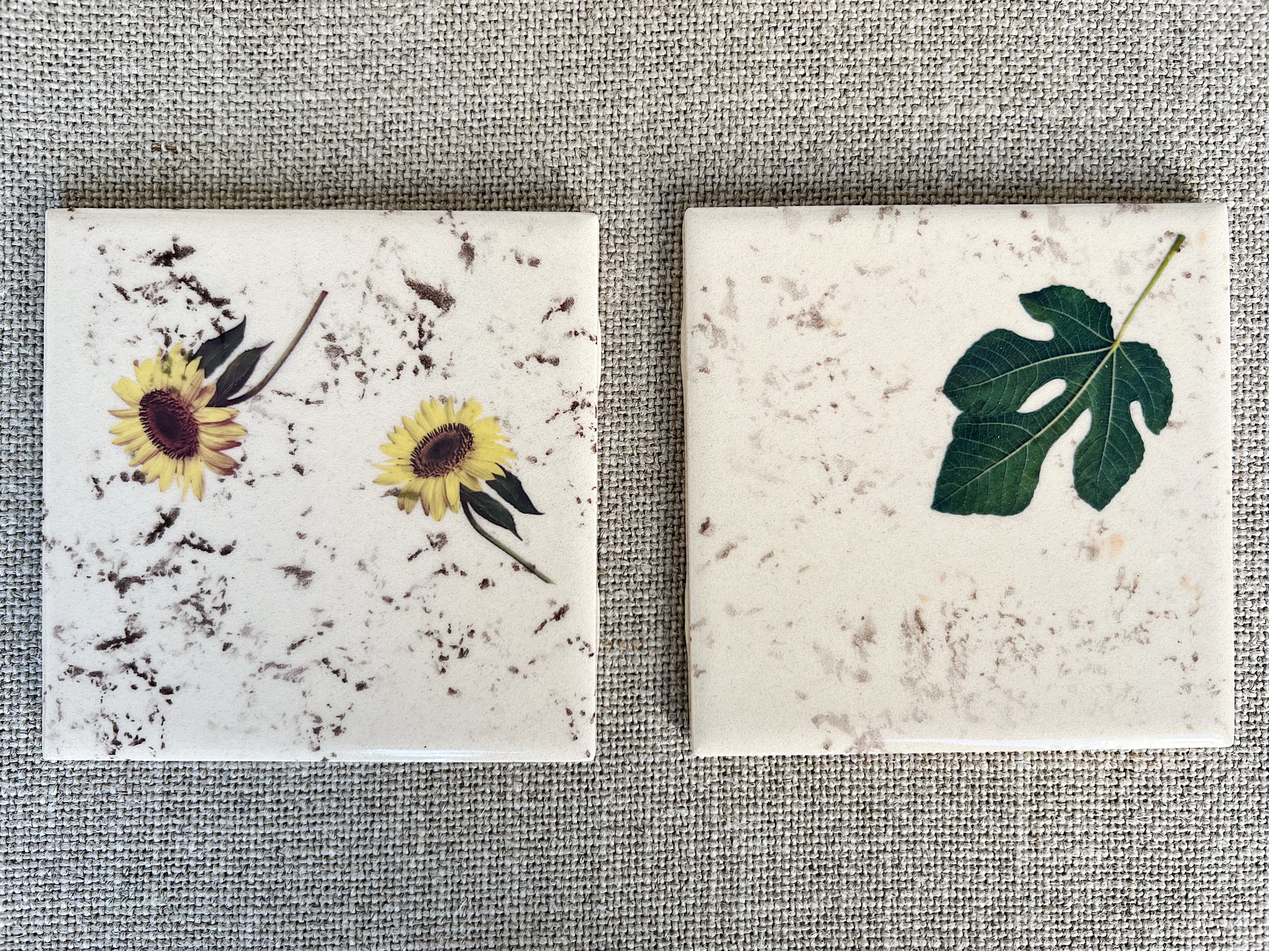 Sunflower and Fig Leaf Ceramic Coasters