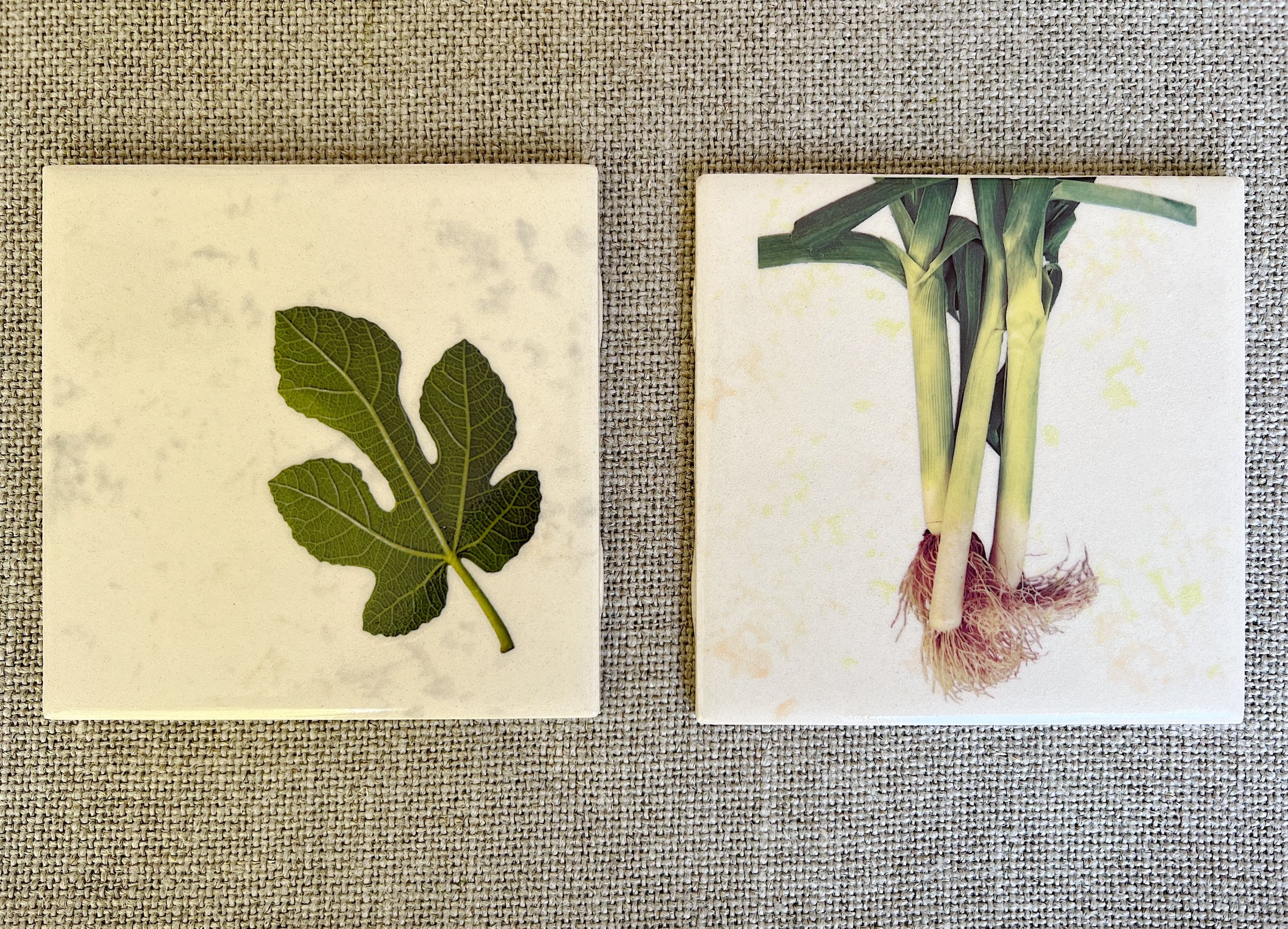 Fig Leaf and Scallion Ceramic Coasters
