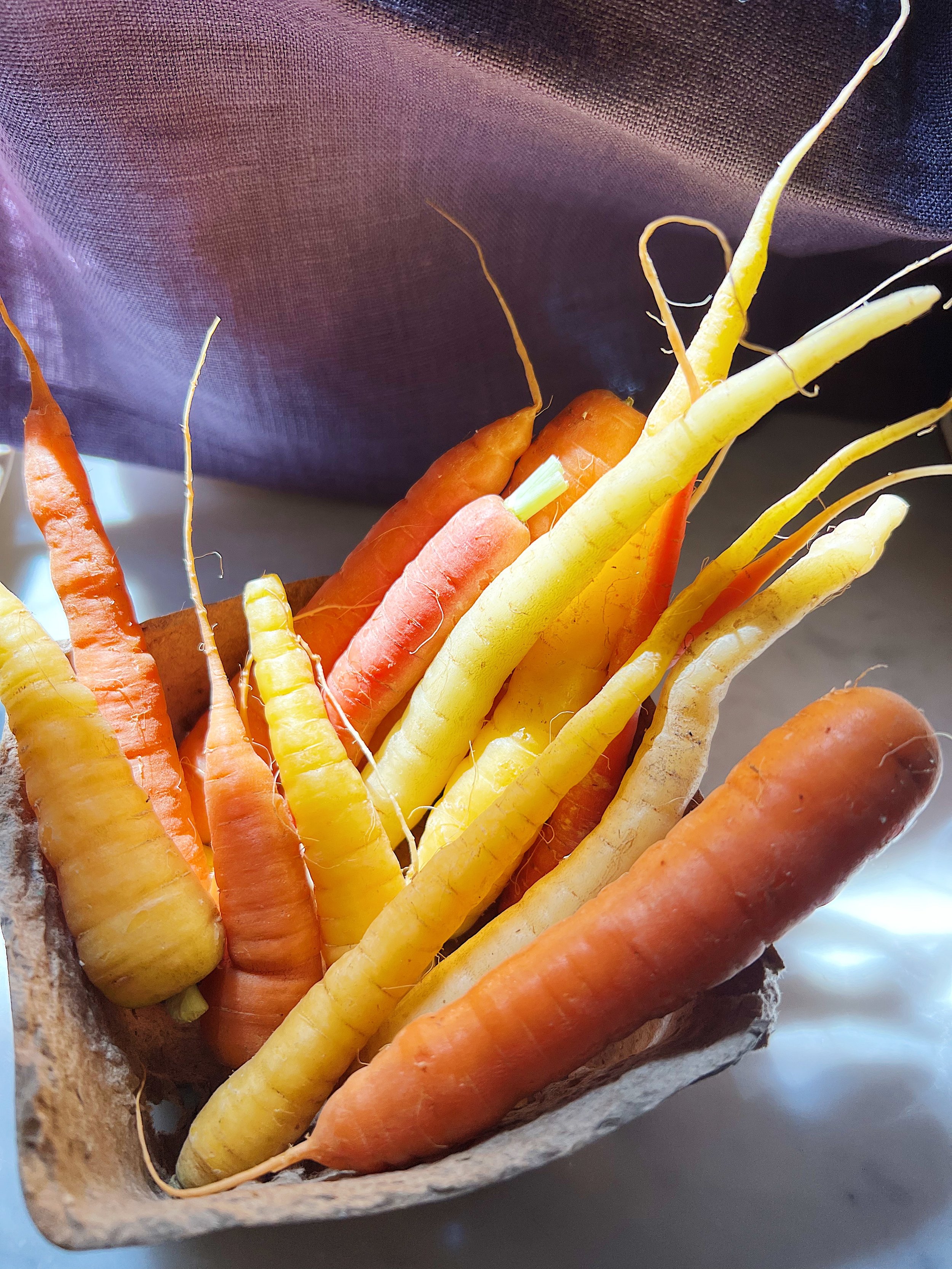 Farmers Market Basket of Carrots