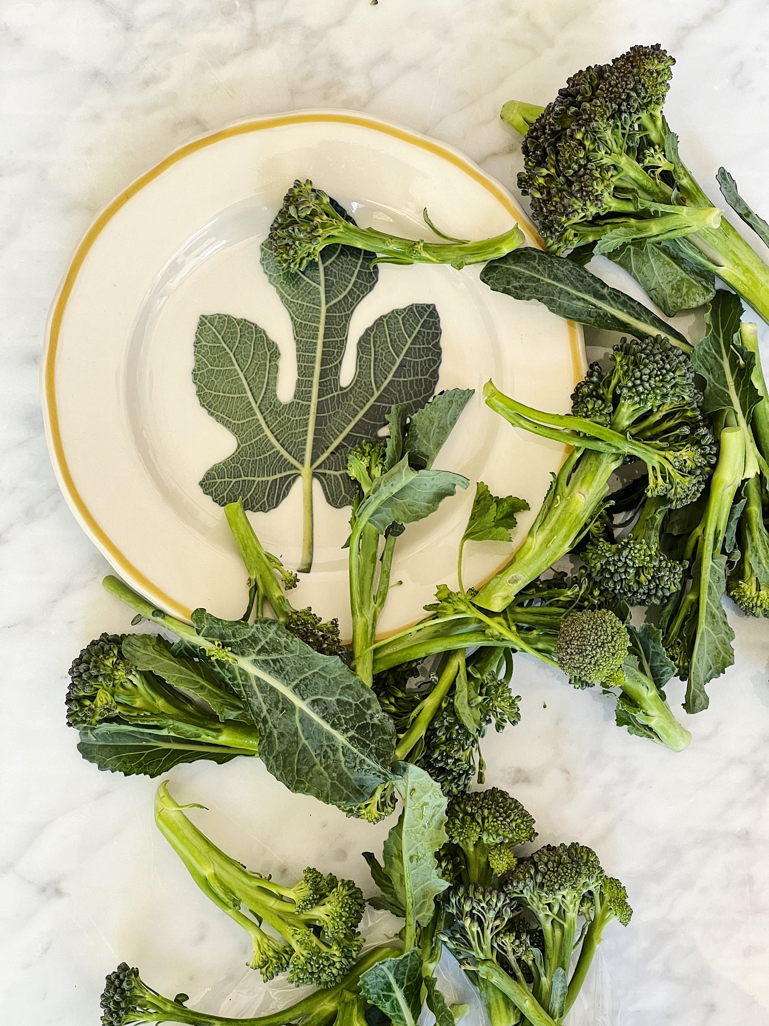 Broccolini on a Vintage Ceramic Small Plate