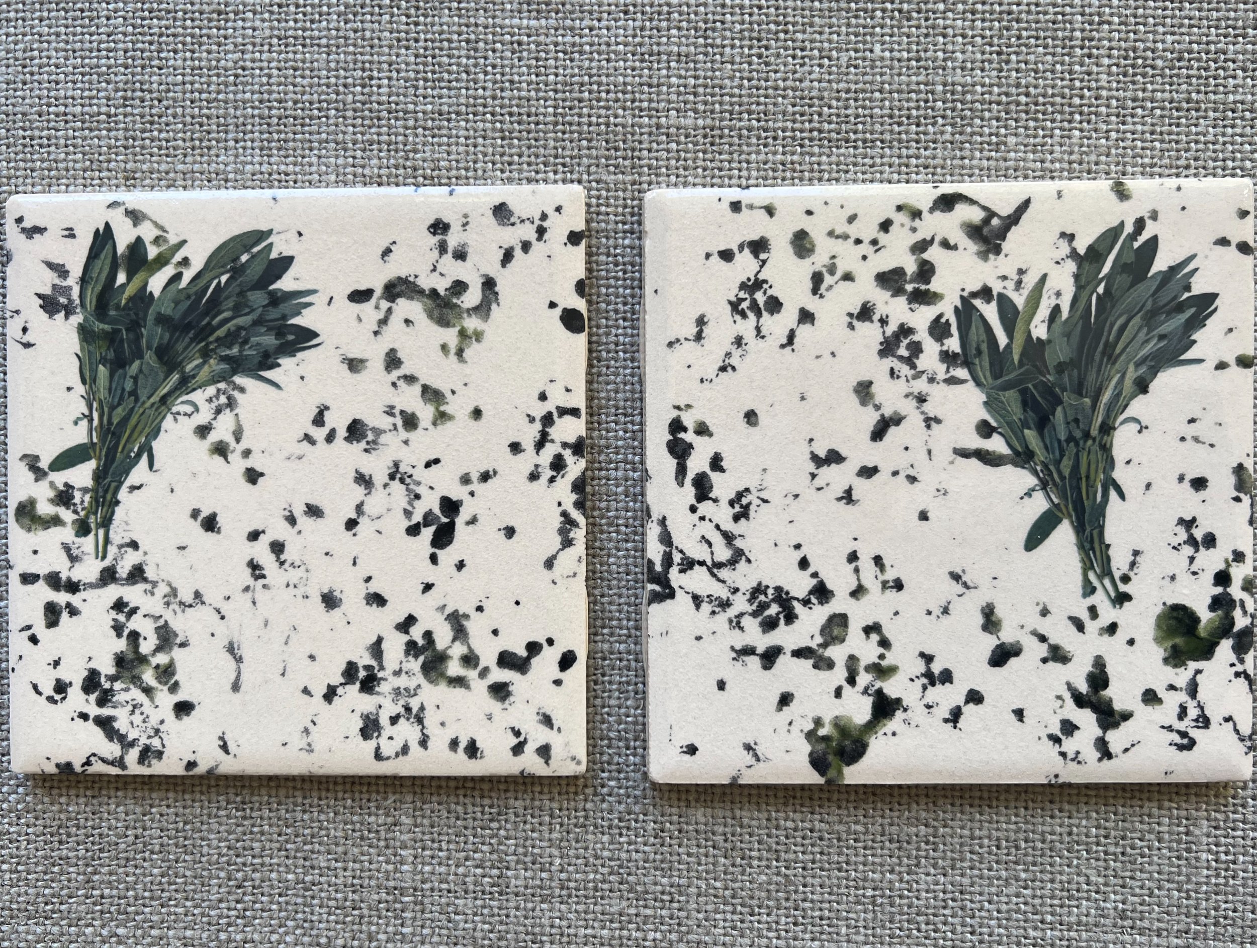 Sage Leaf Ceramic Coasters