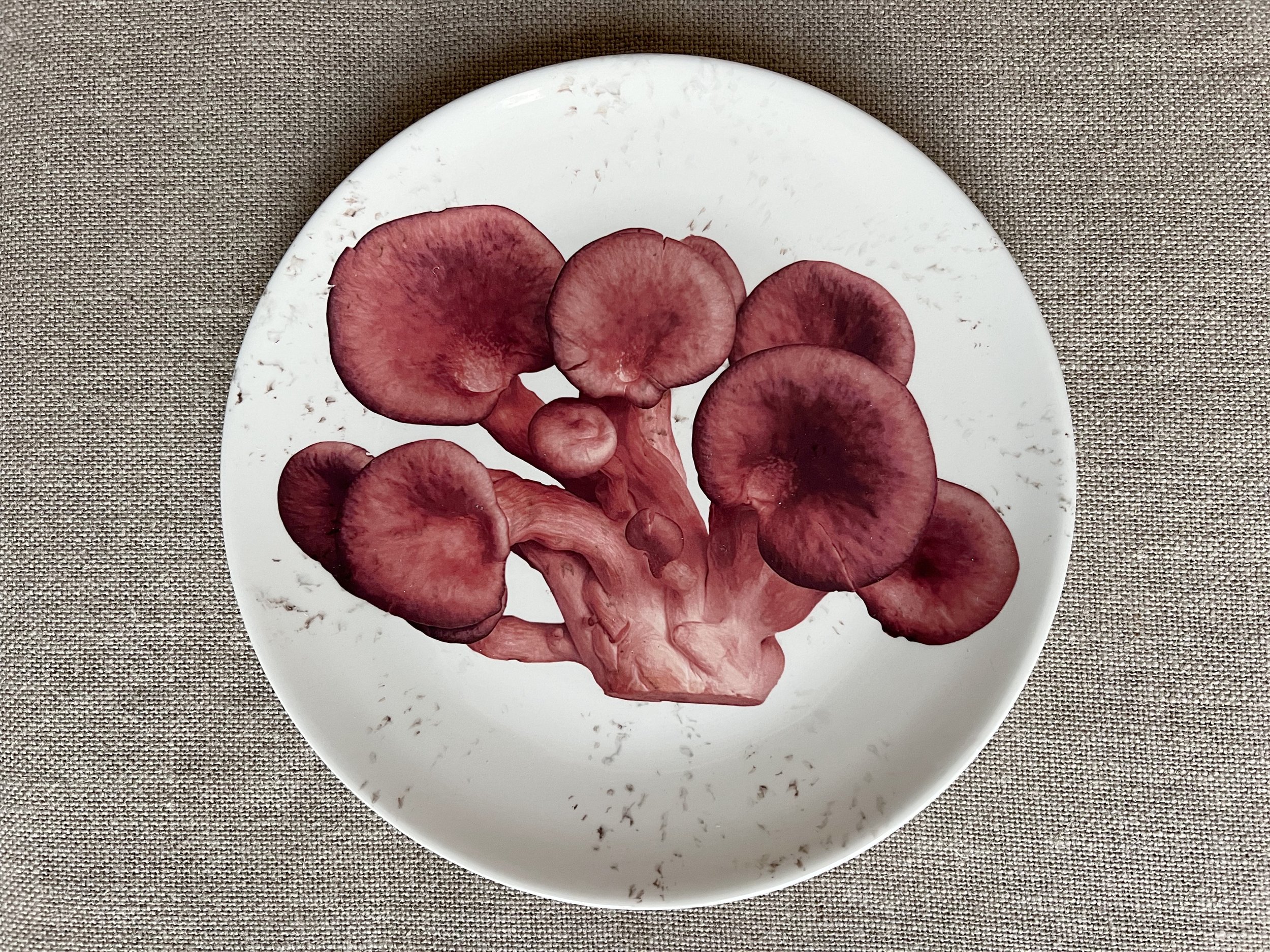 Mushroom Ceramic Large Plate