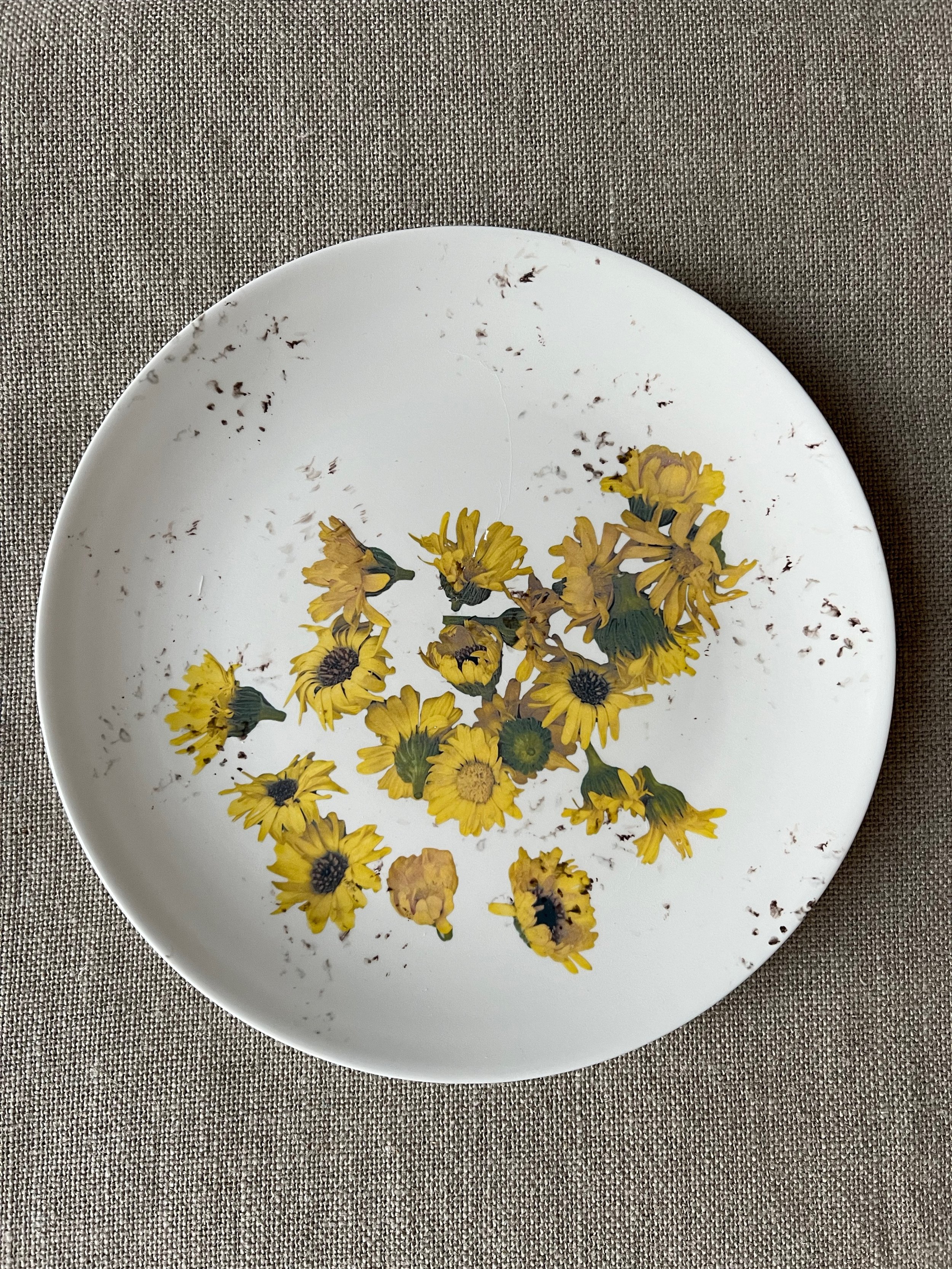 Calendula Flowers Ceramic Large Plate