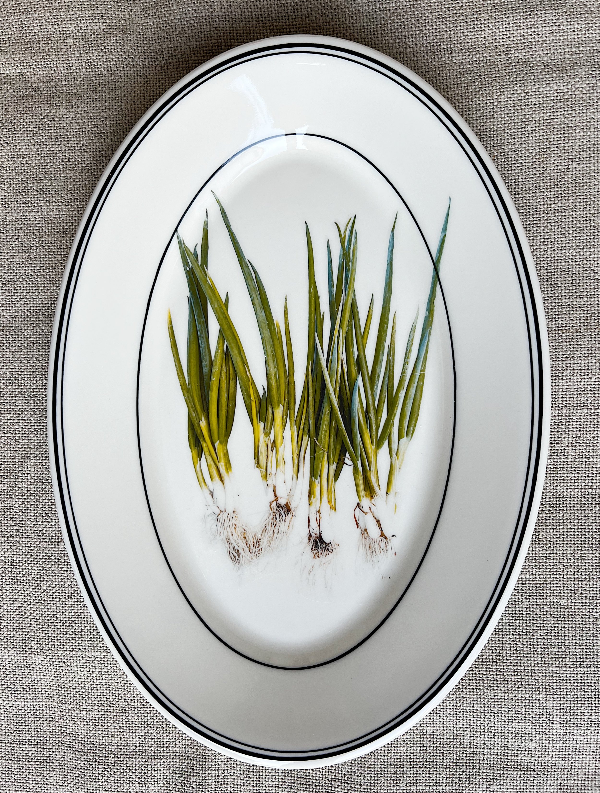 Vintage Spring Onion Ceramic Platter