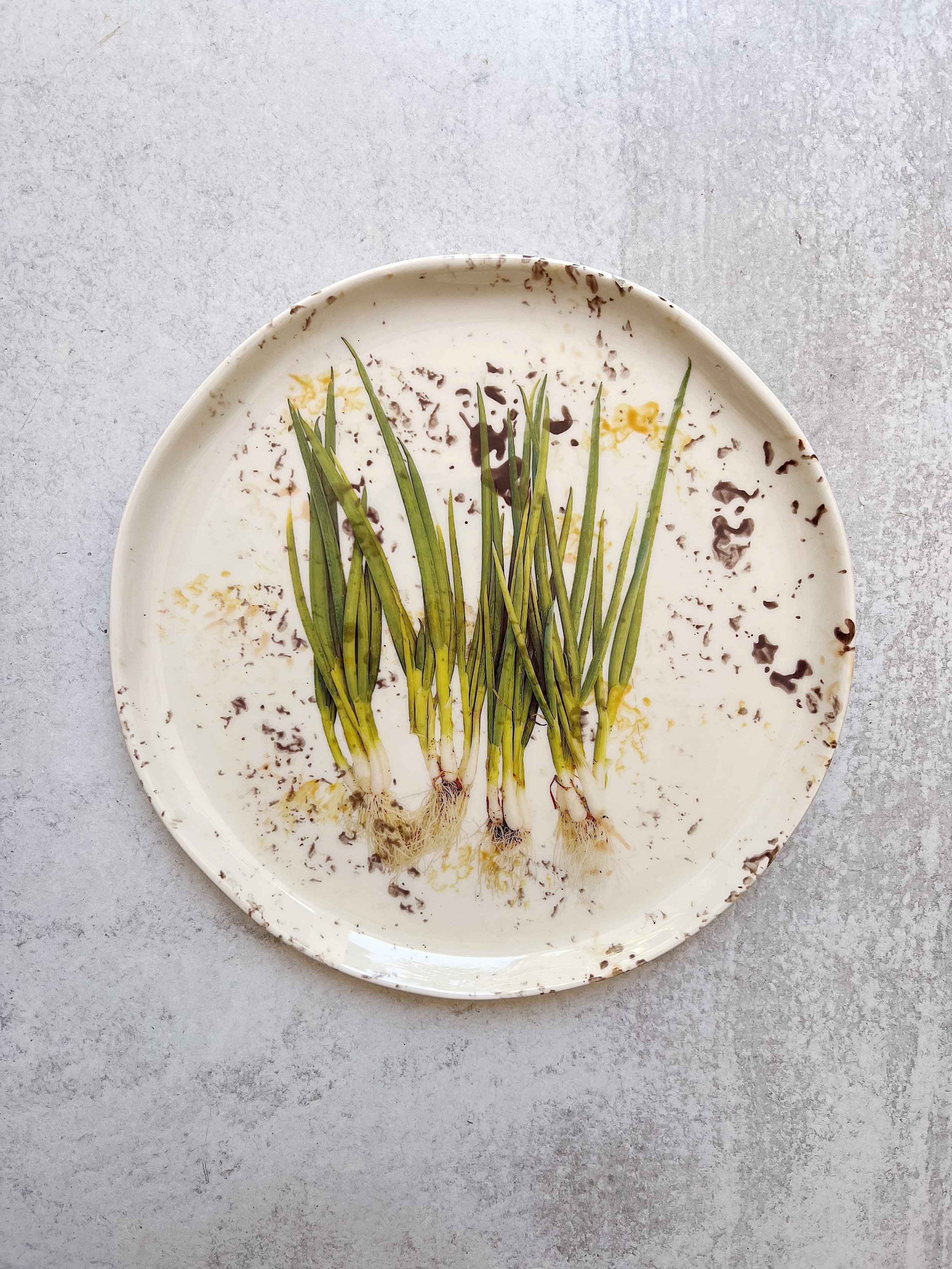 Scallions Ceramic Large Plate