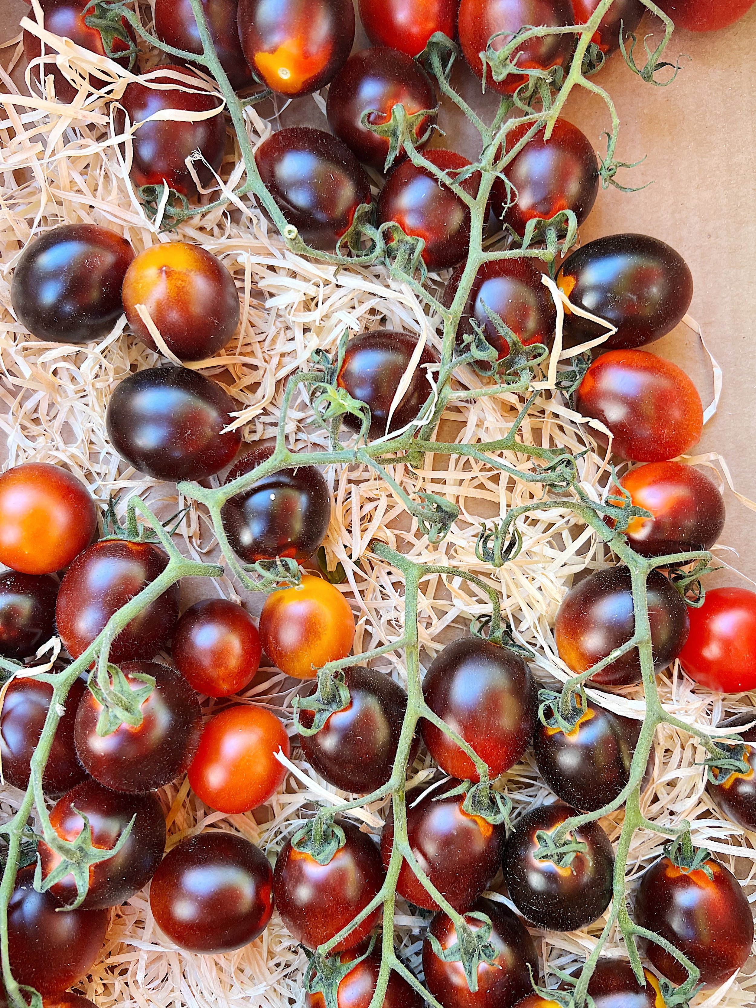 Cherry Tomatoes, Arles Market