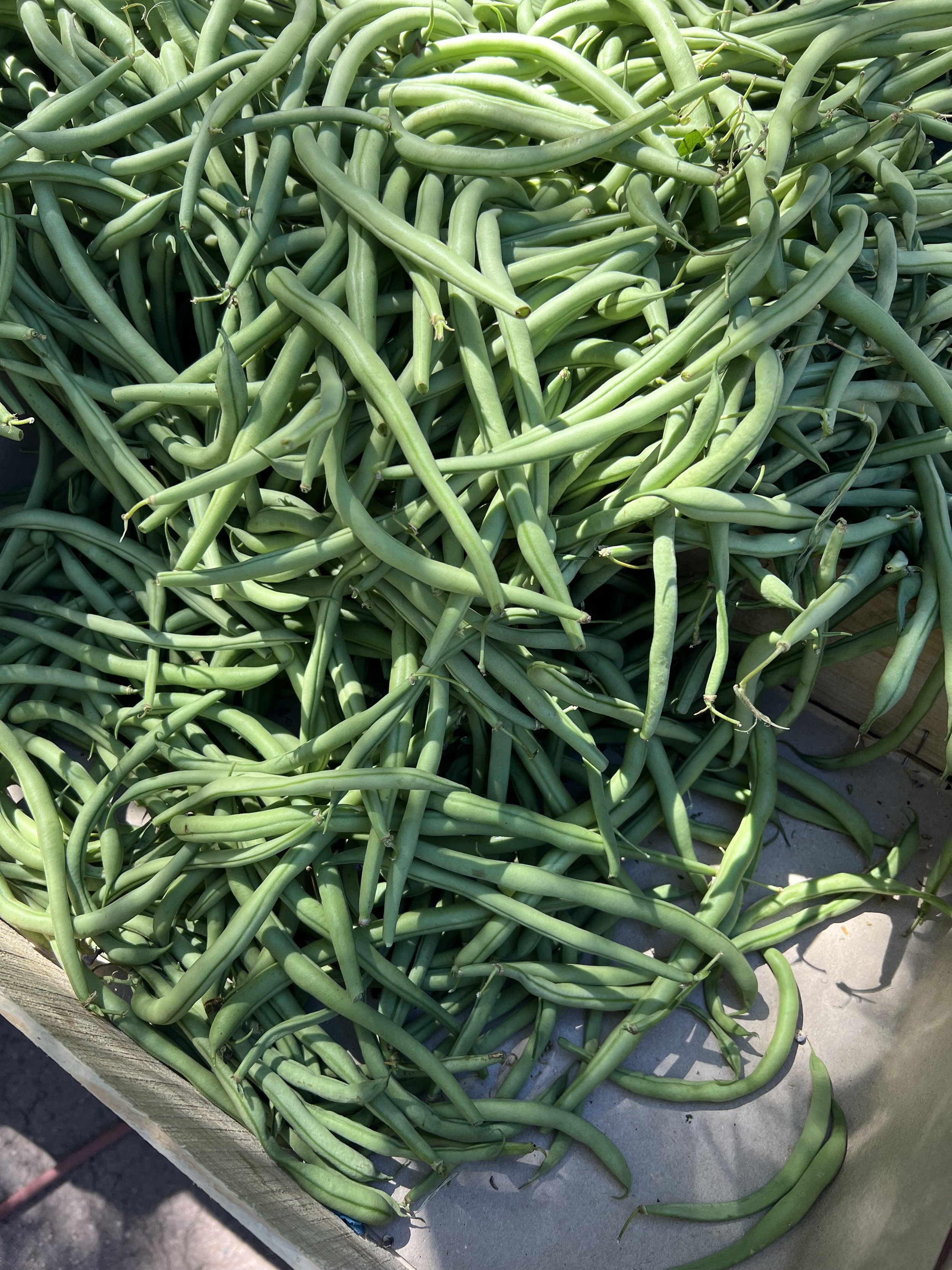 Green Beans, Arles Market