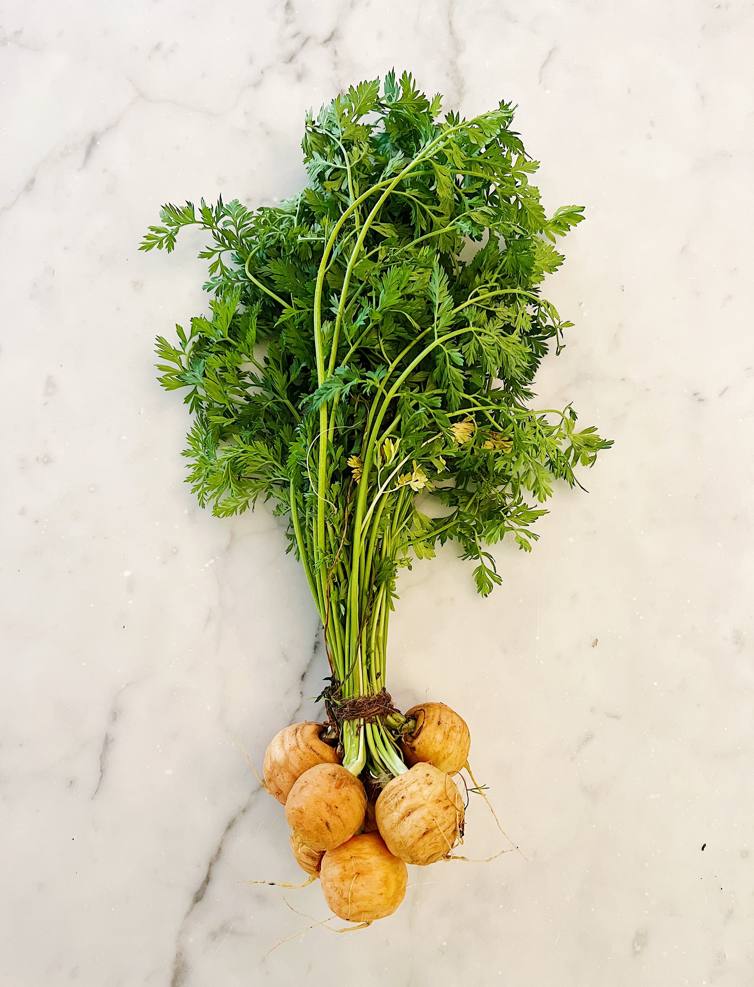 French Market Carrots