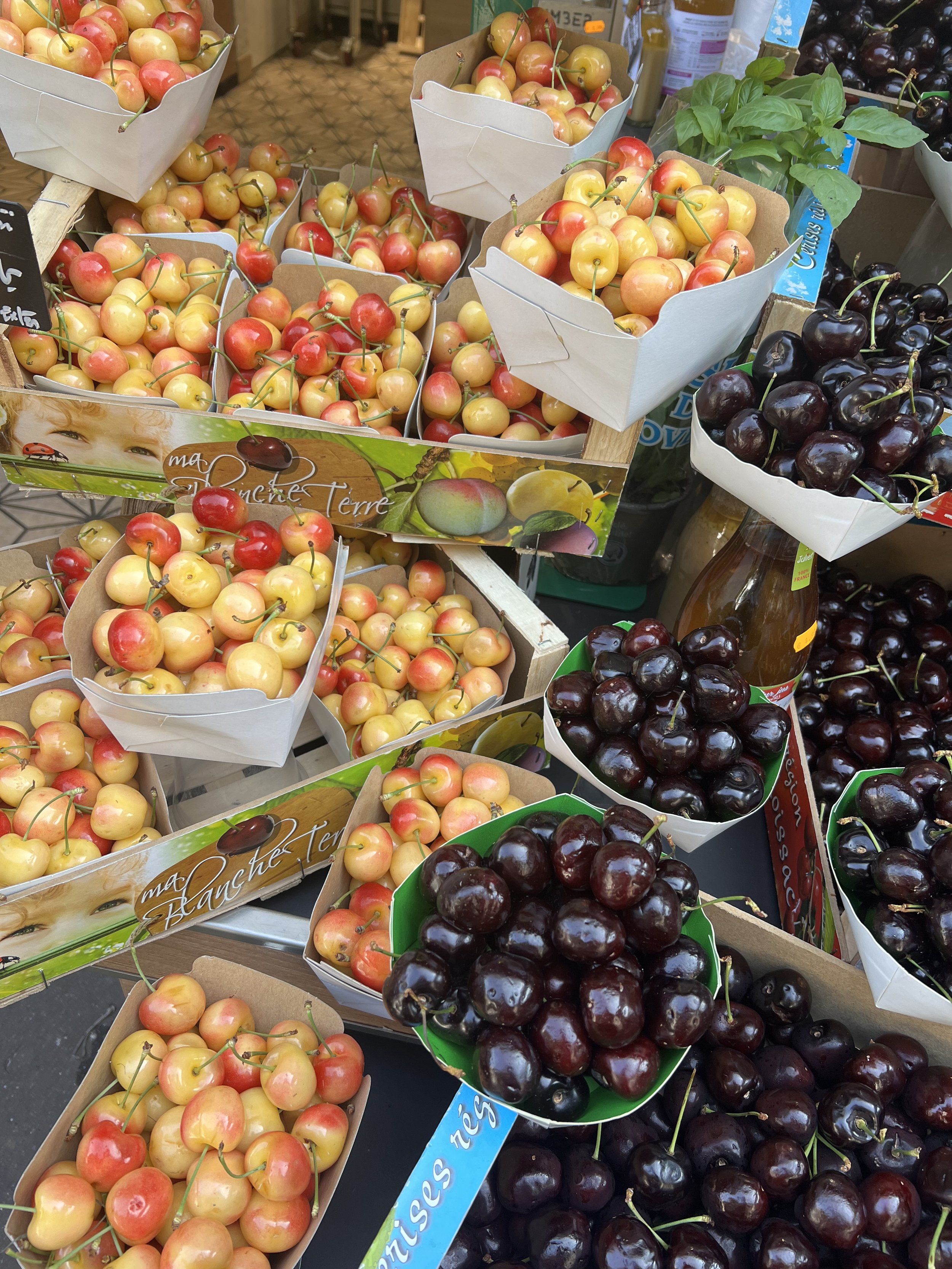 Cherries, Paris