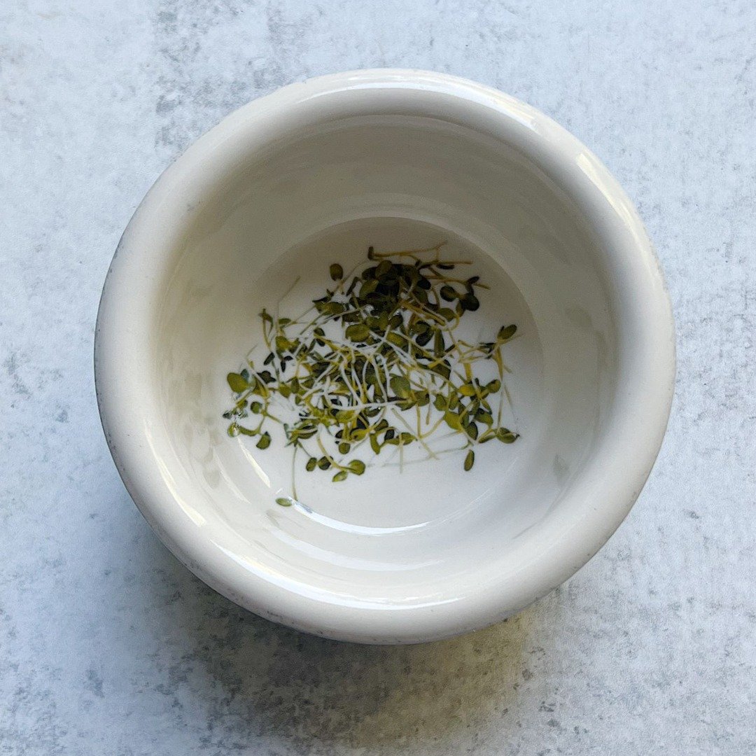 Vintage Radish Sprouts Ceramic Small Dish