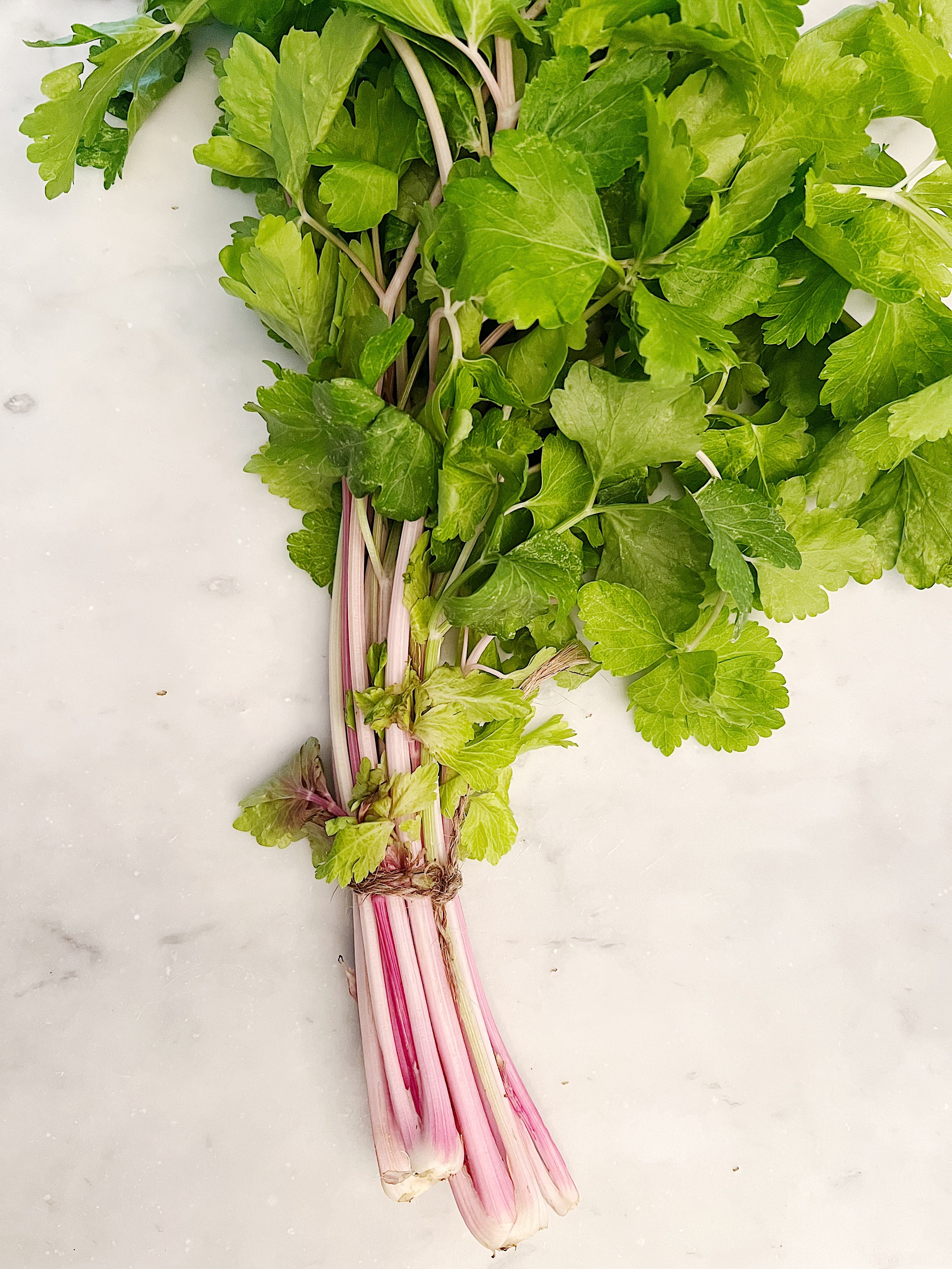 Pink Celery